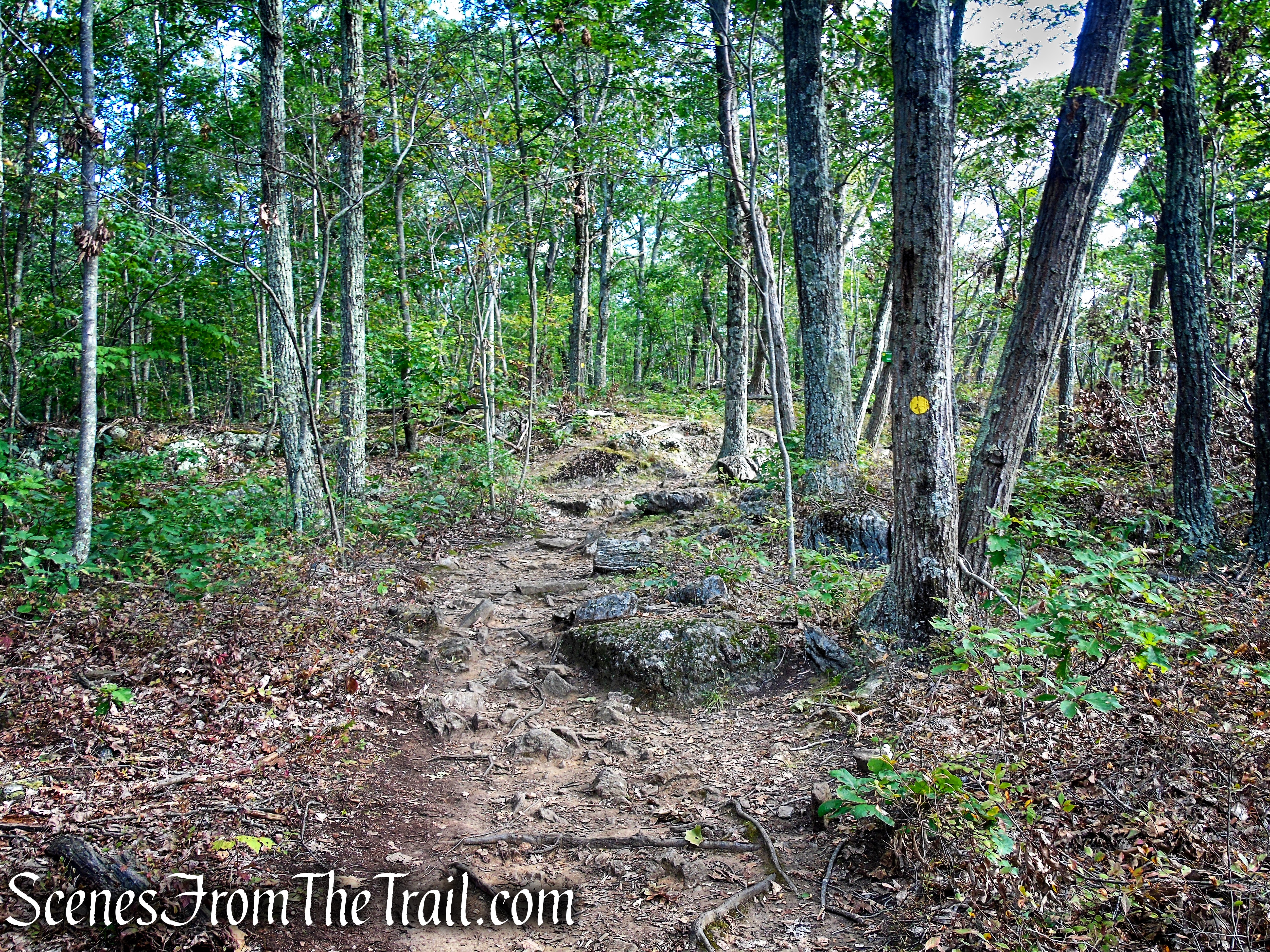 Meeker Trail - Macricostas Preserve