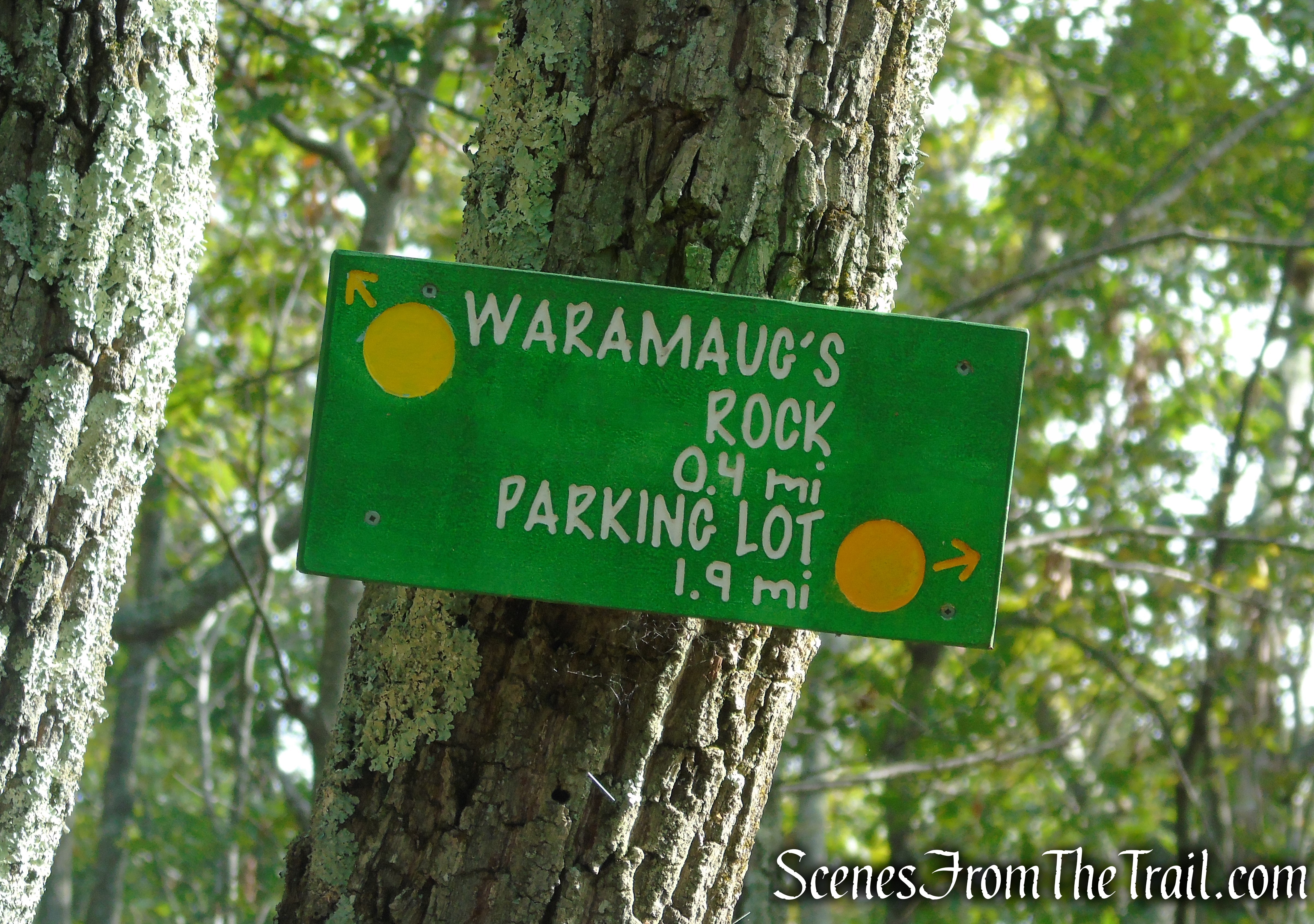 Meeker Trail - Macricostas Preserve