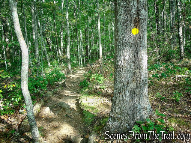 Meeker Trail - Macricostas Preserve