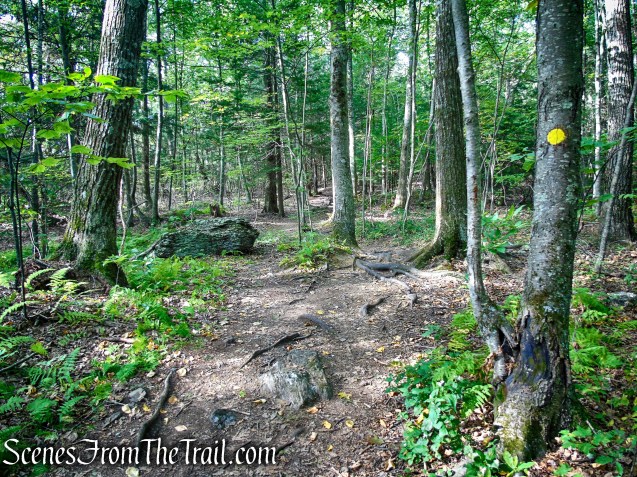 Meeker Trail - Macricostas Preserve