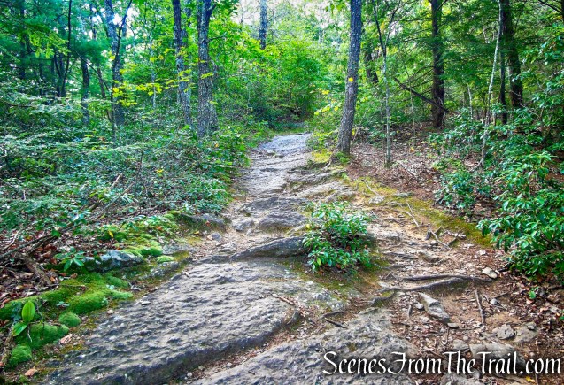 Meeker Trail - Macricostas Preserve
