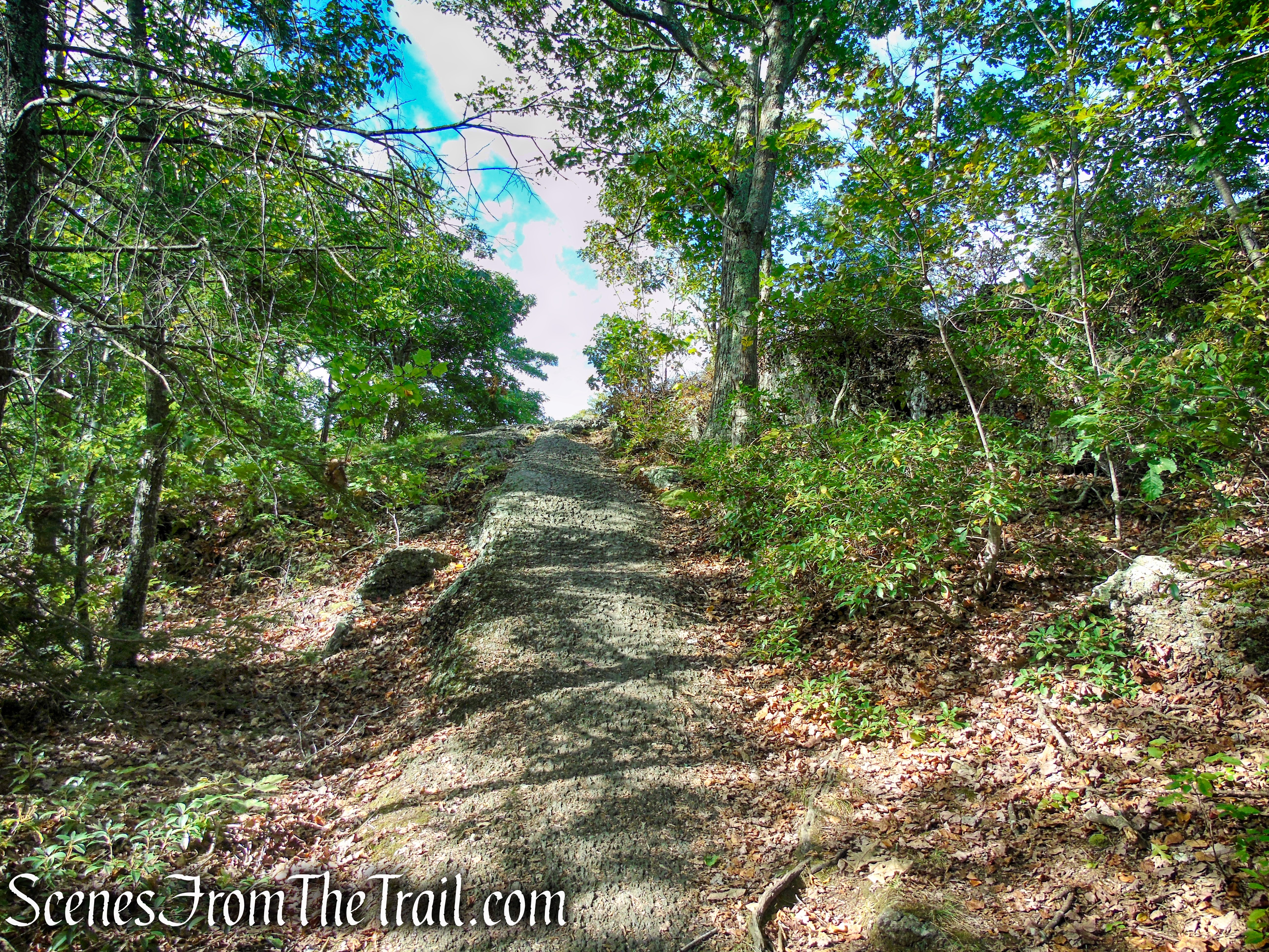 Meeker Trail - Macricostas Preserve
