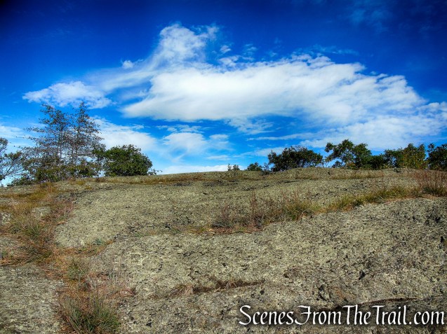 Waramaug’s Rock - Macricostas Preserve