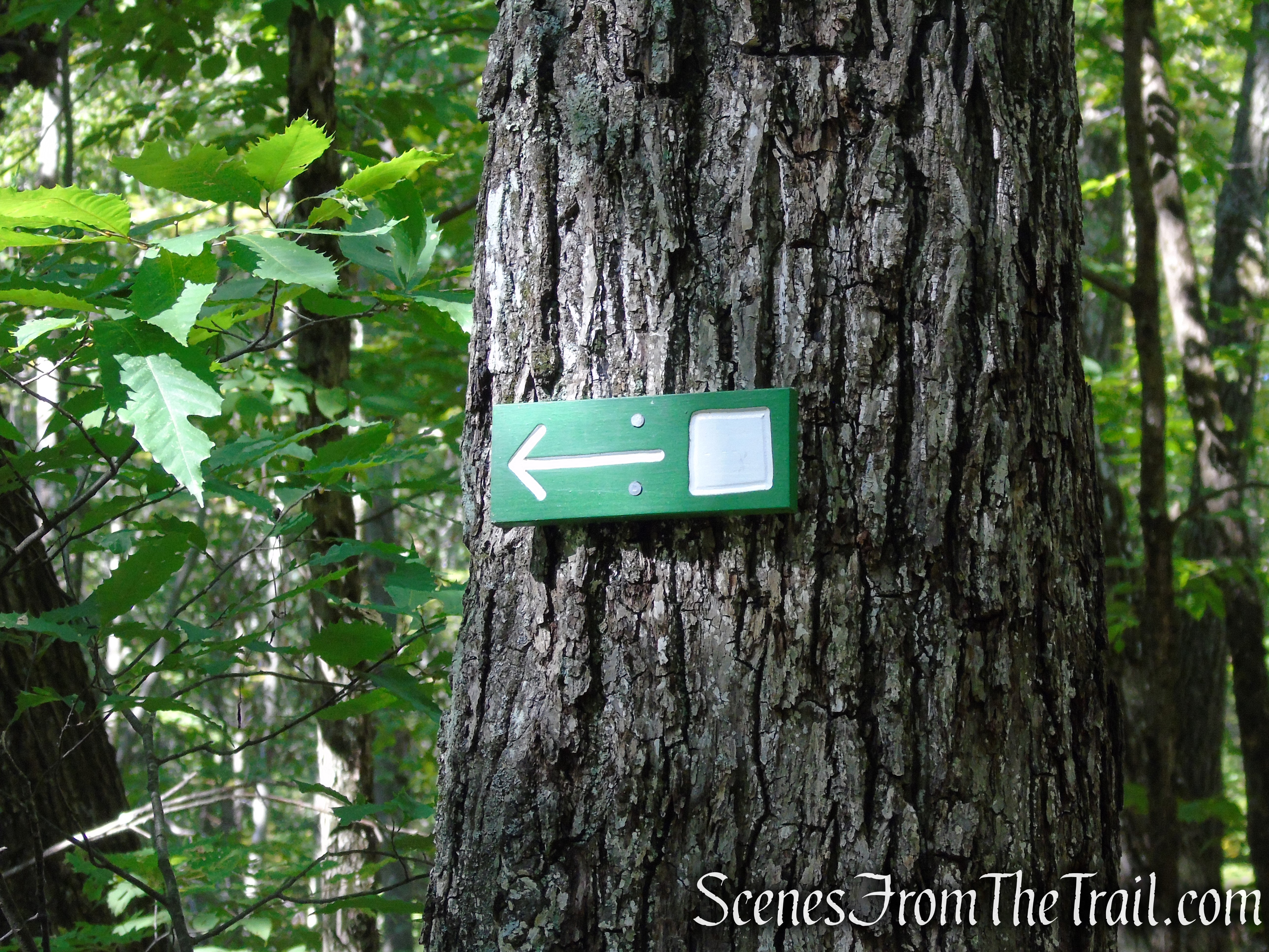 continue past the junction with the Pinnacle Valley Trail