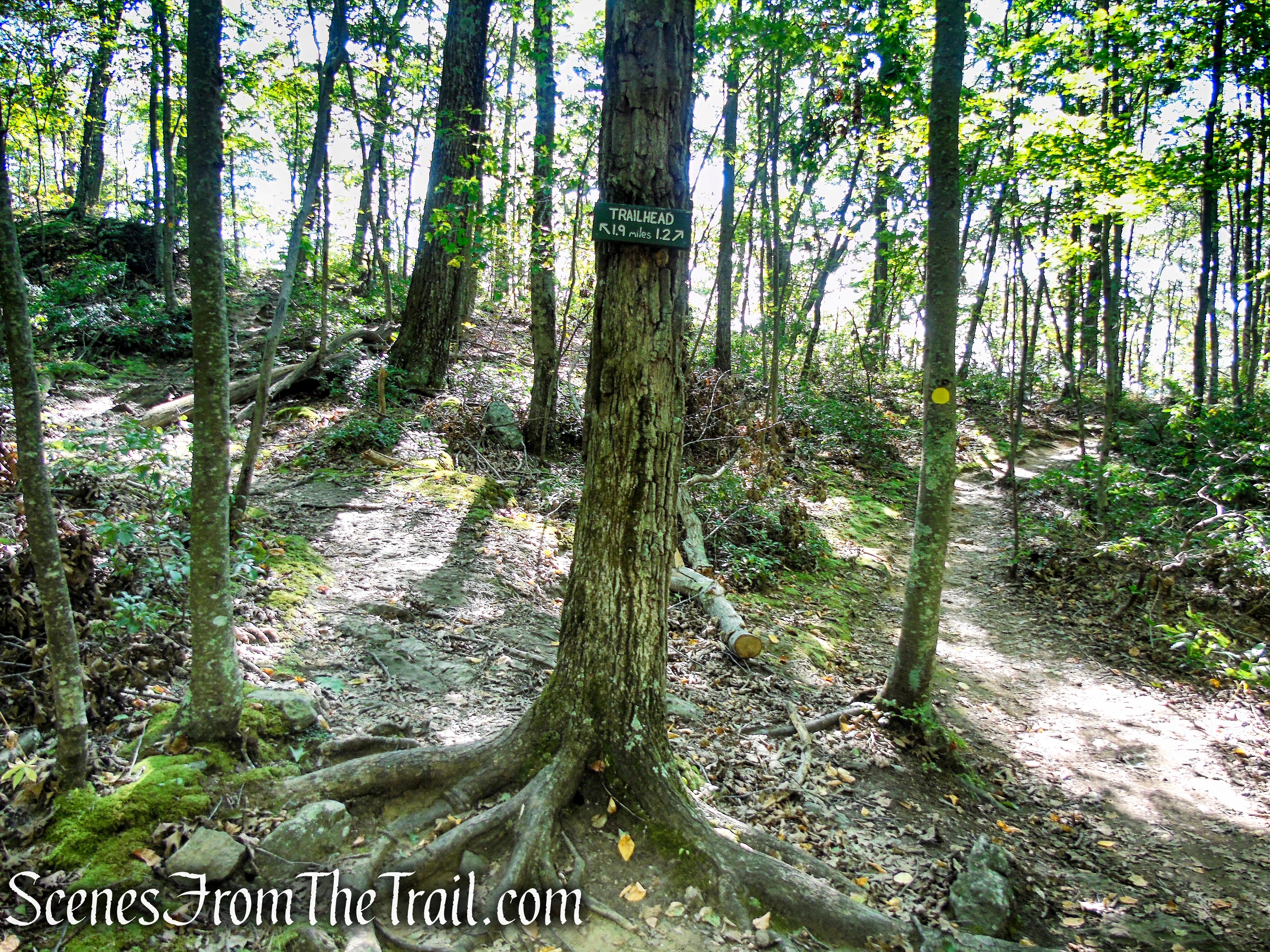 turn left on Ridgeline Trail