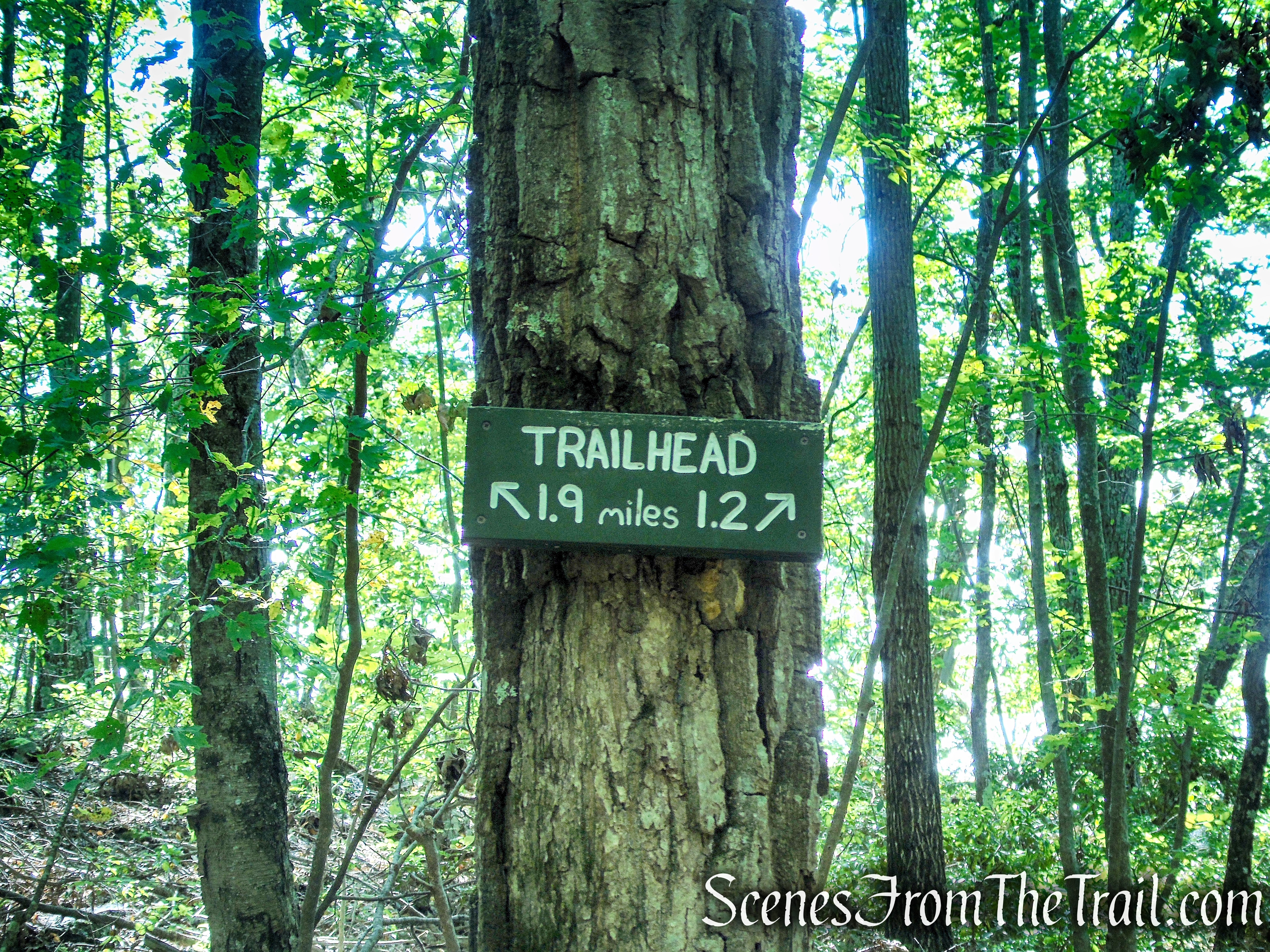 turn left on Ridgeline Trail