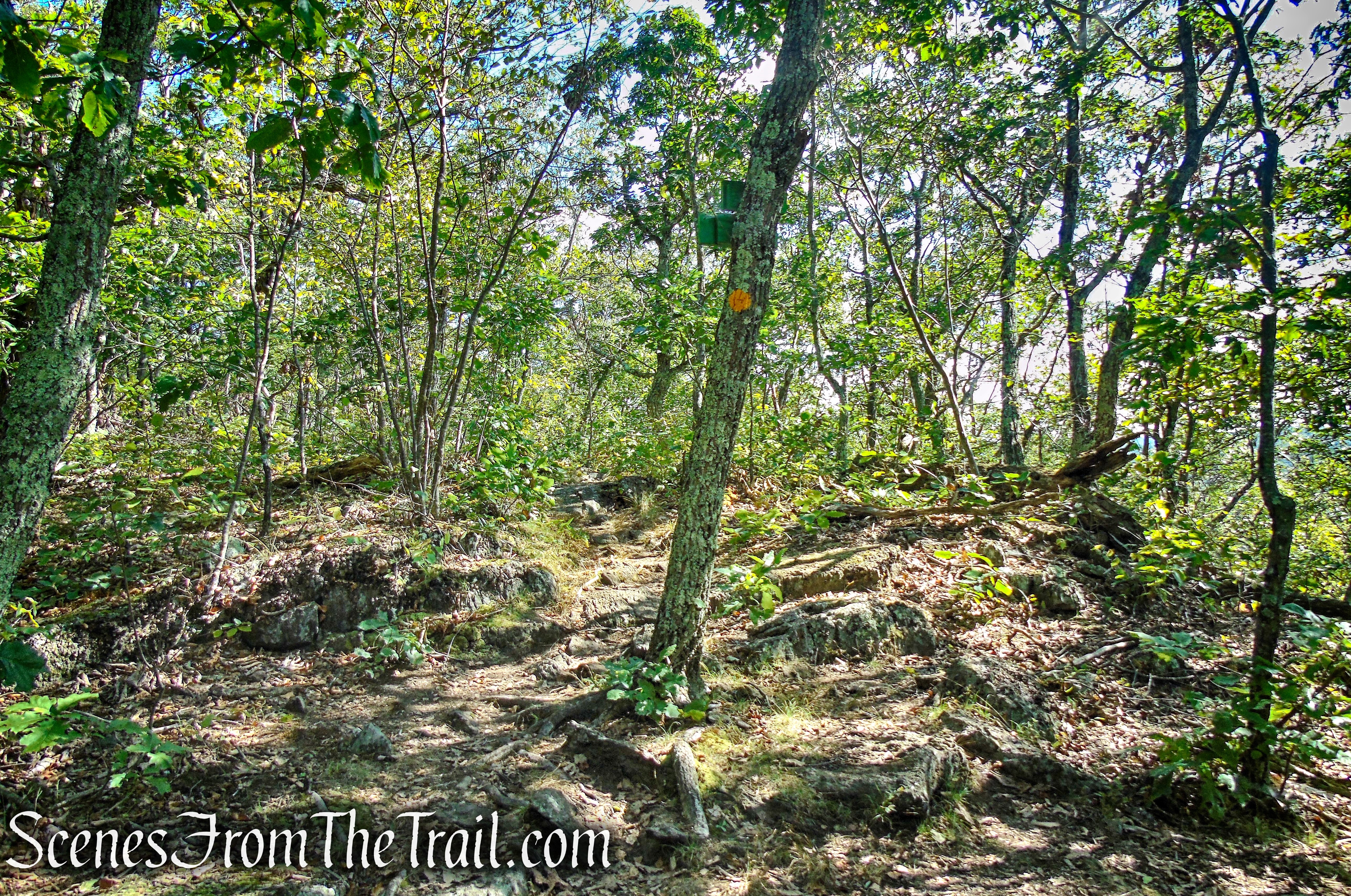 Ridgeline Trail - Macricostas Preserve
