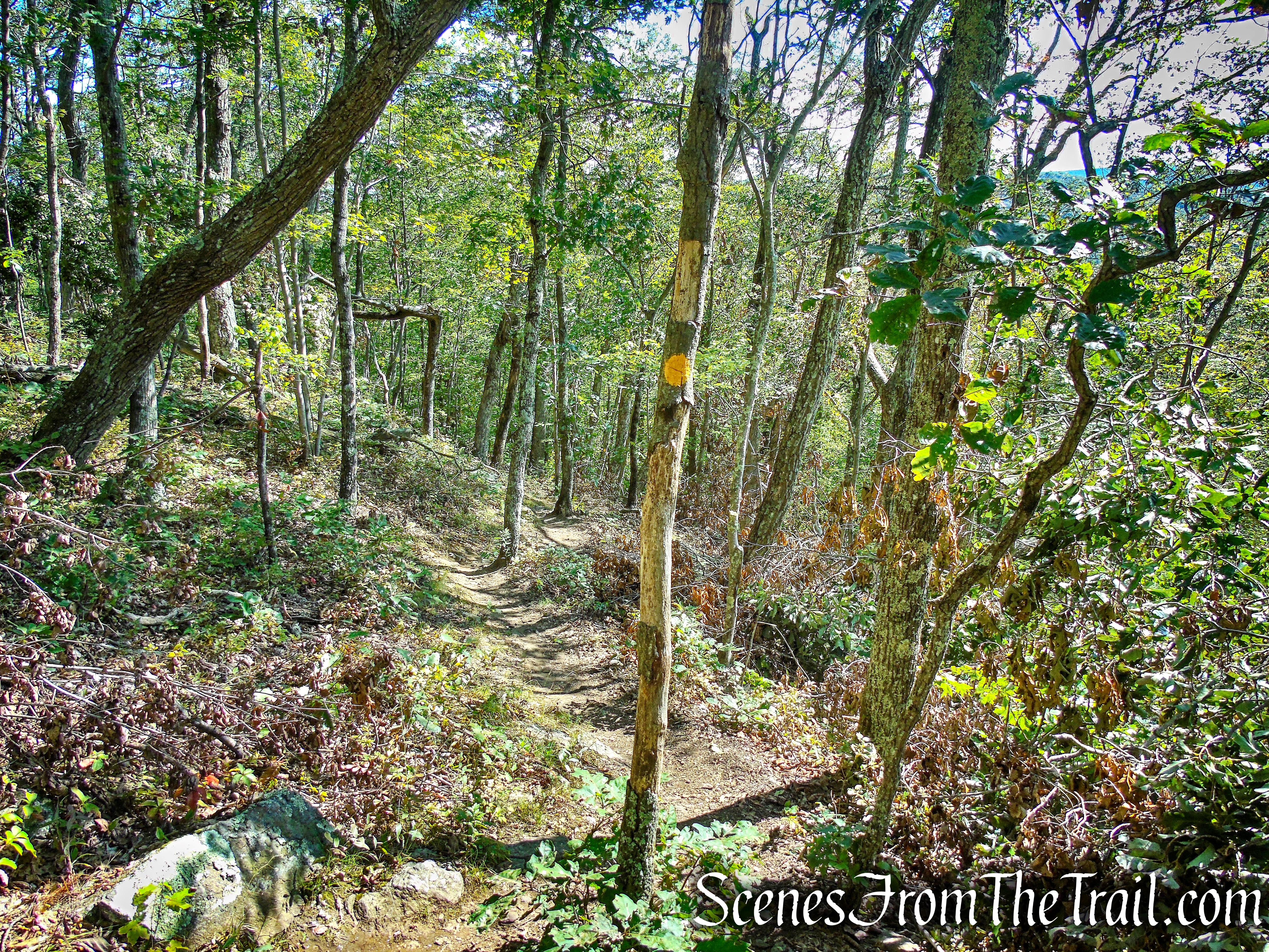 Ridgeline Trail - Macricostas Preserve