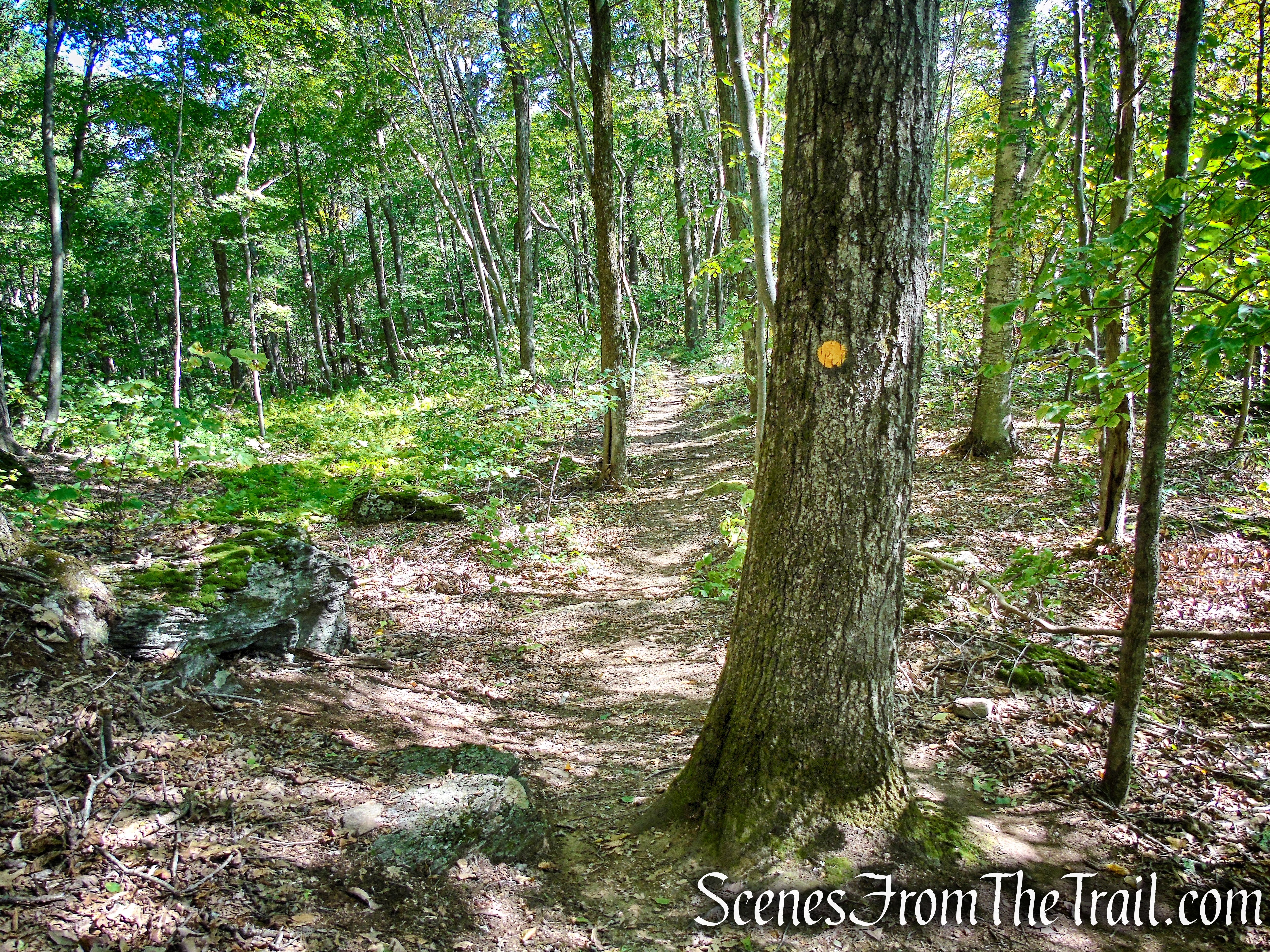 Ridgeline Trail - Macricostas Preserve
