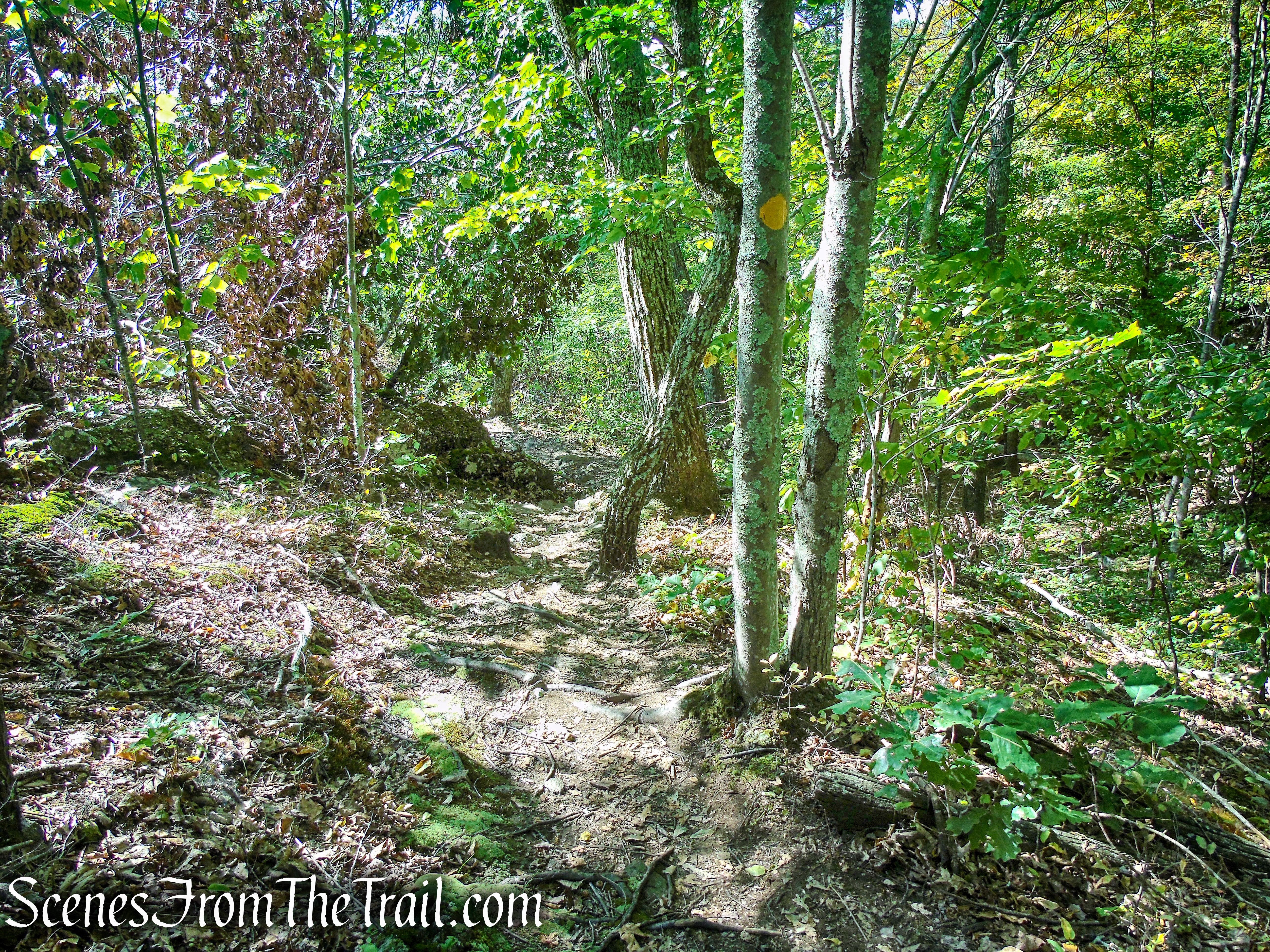 Ridgeline Trail - Macricostas Preserve