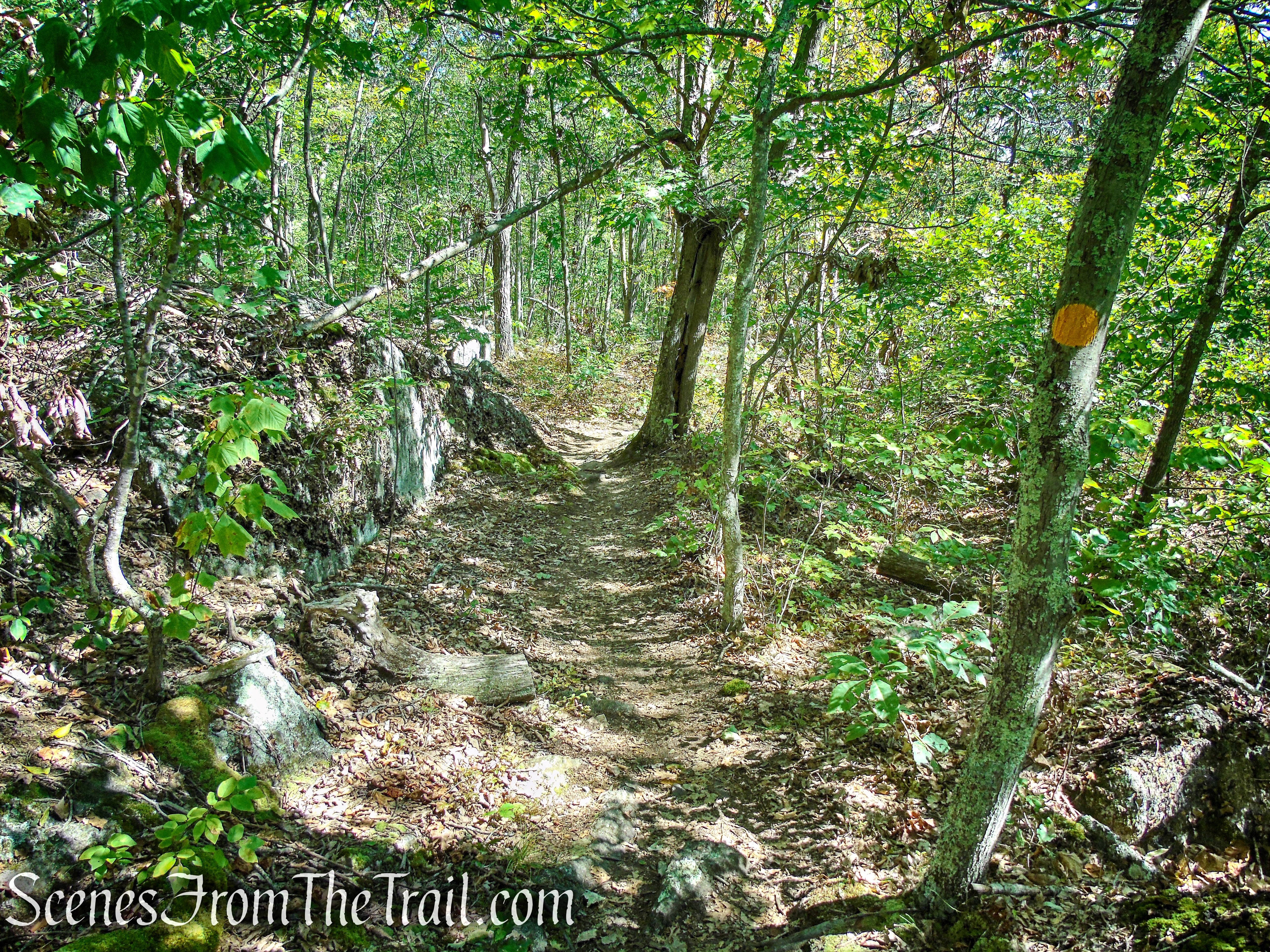 Ridgeline Trail - Macricostas Preserve