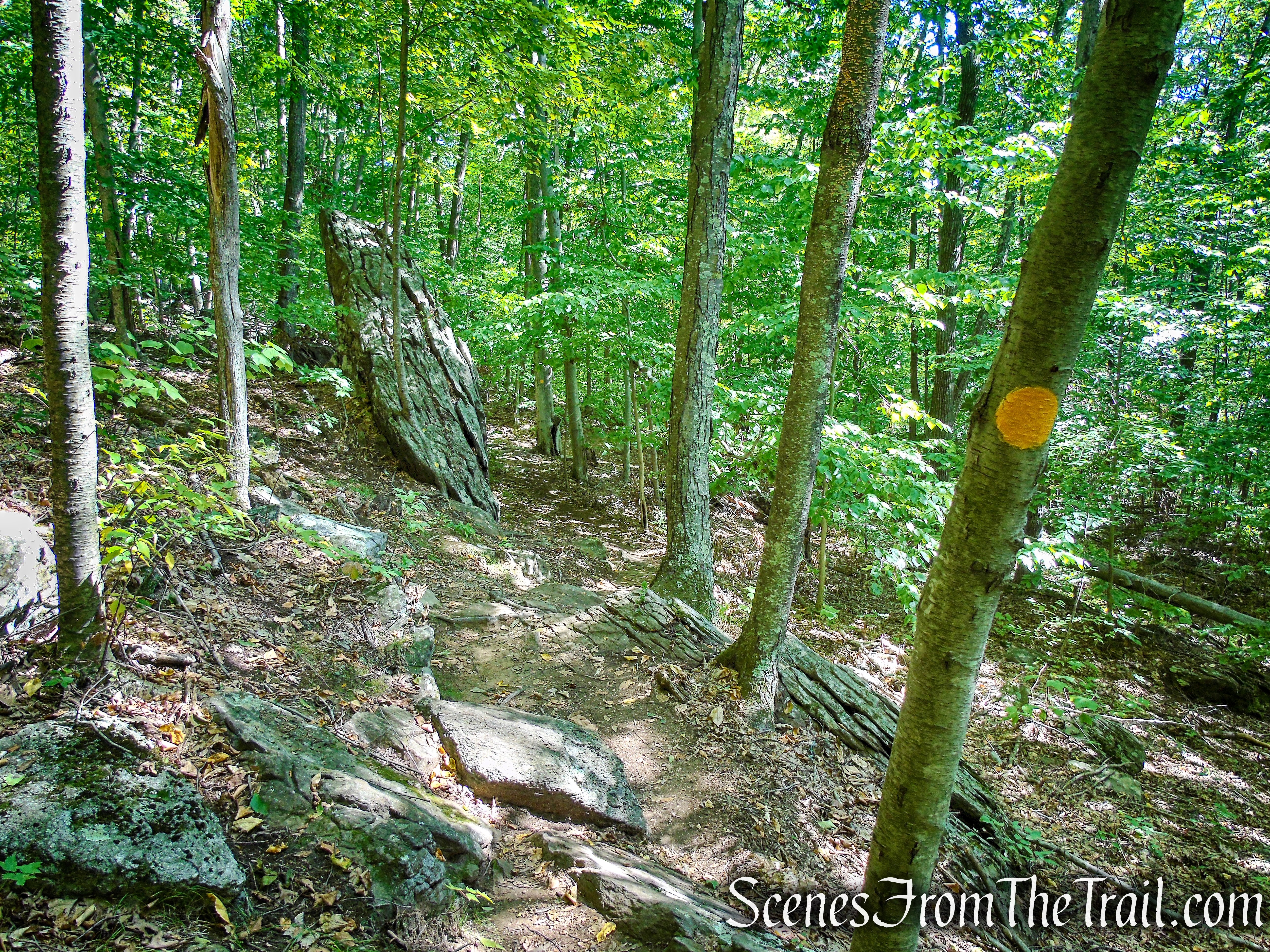 Ridgeline Trail - Macricostas Preserve