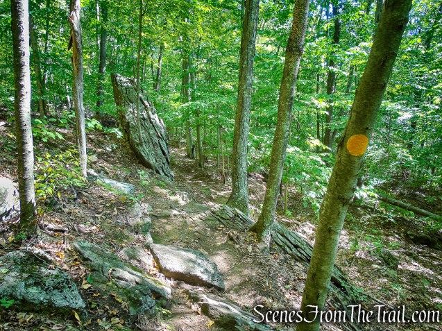 Ridgeline Trail - Macricostas Preserve