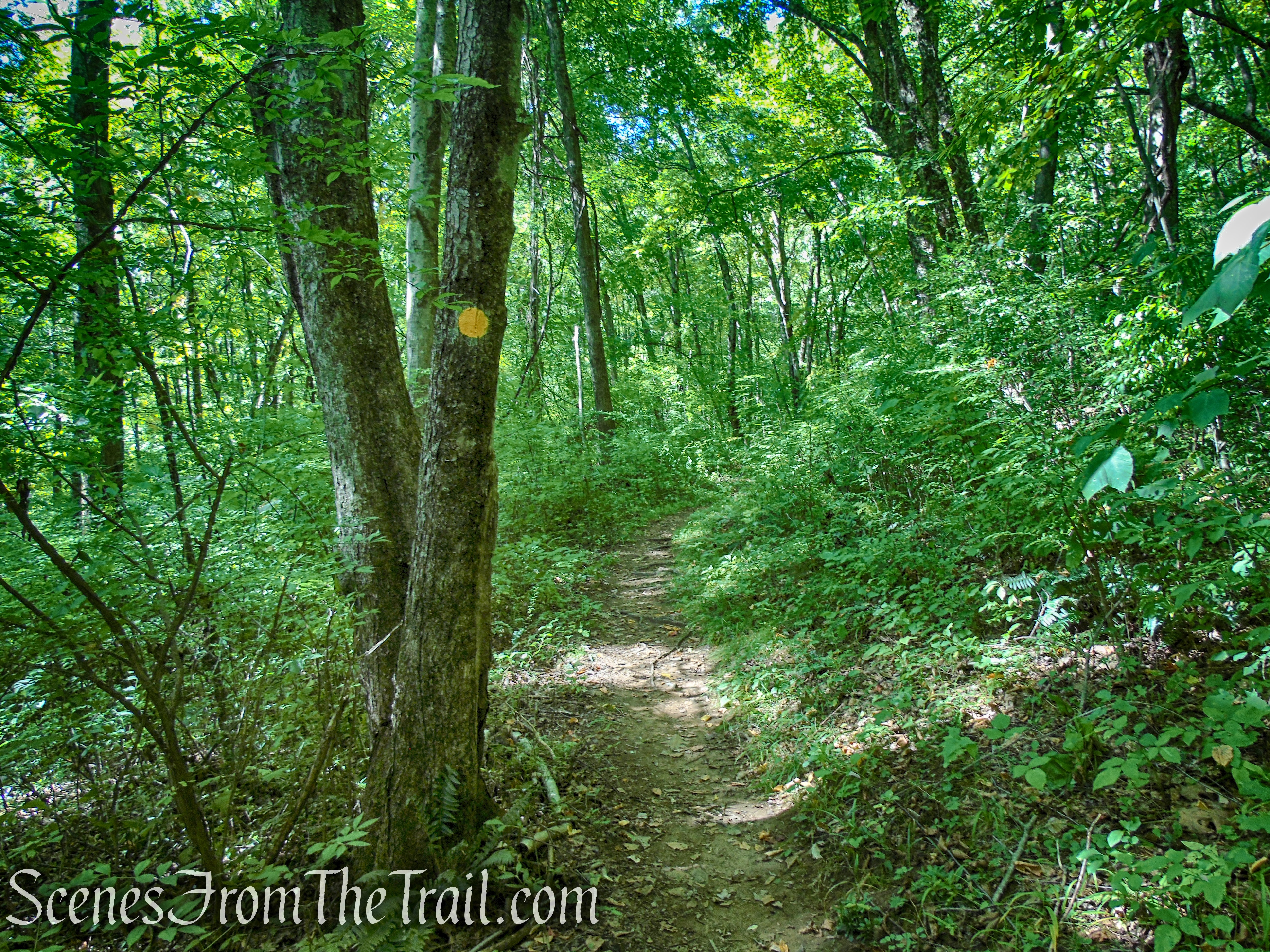 Ridgeline Trail - Macricostas Preserve