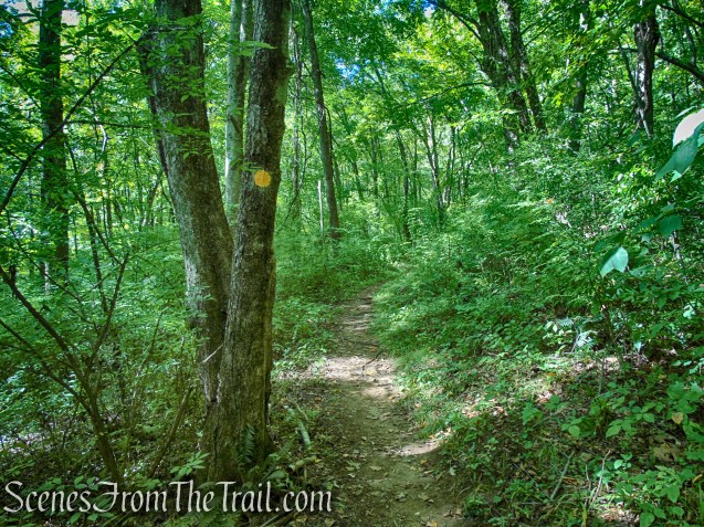 Ridgeline Trail - Macricostas Preserve