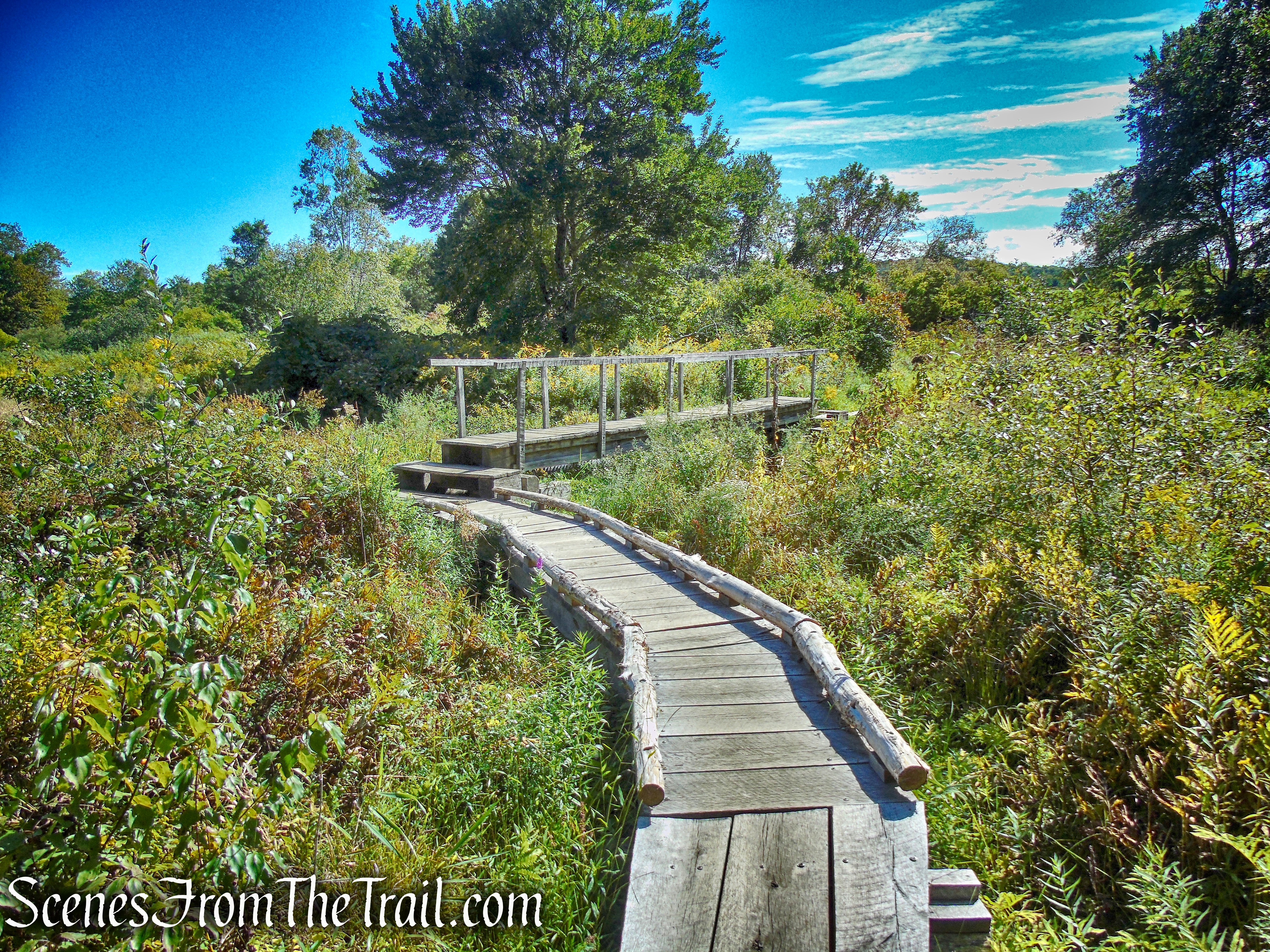 Meeker Trail - Macricostas Preserve