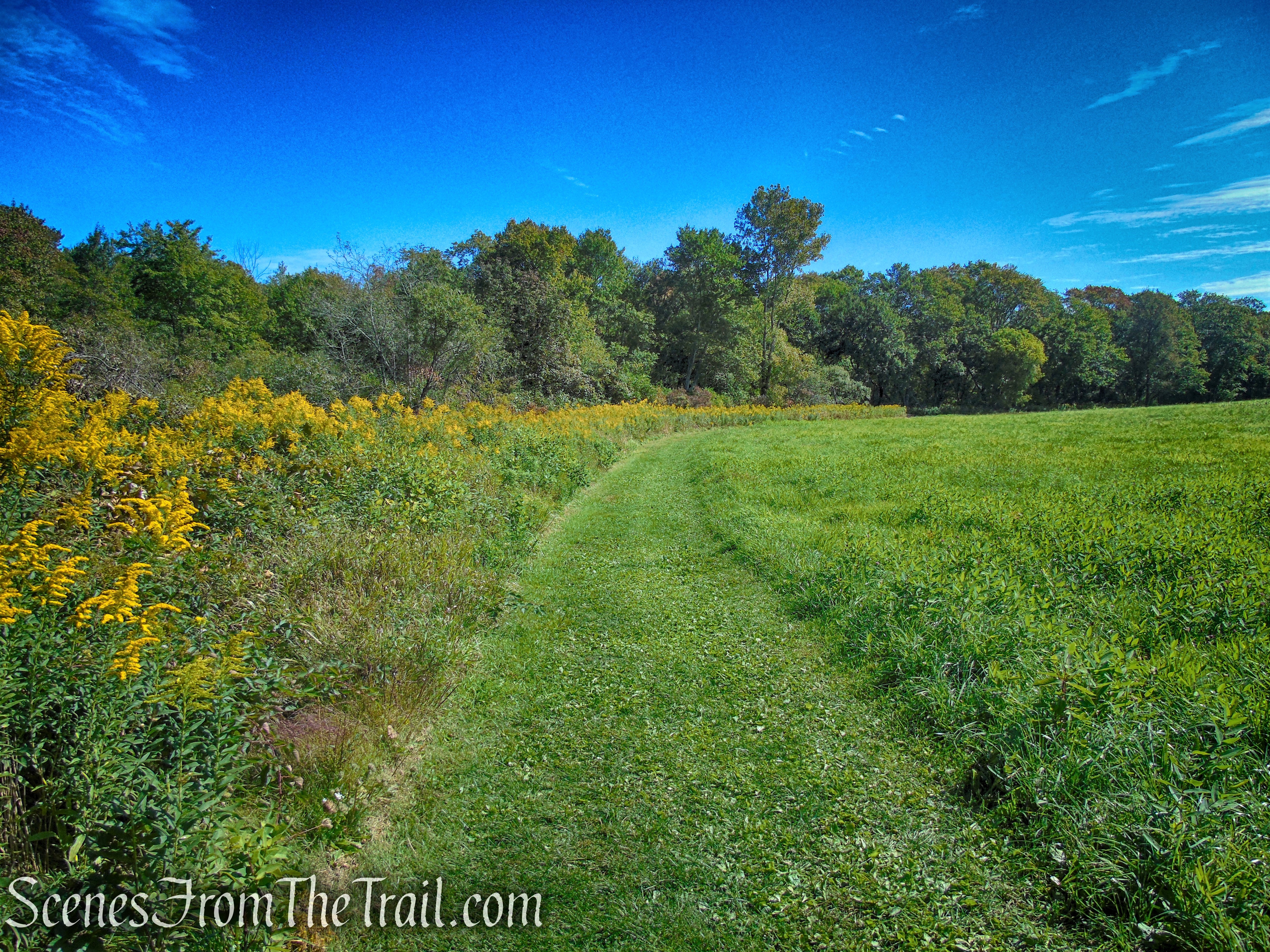 Hay Field Loop - Macricostas Preserve