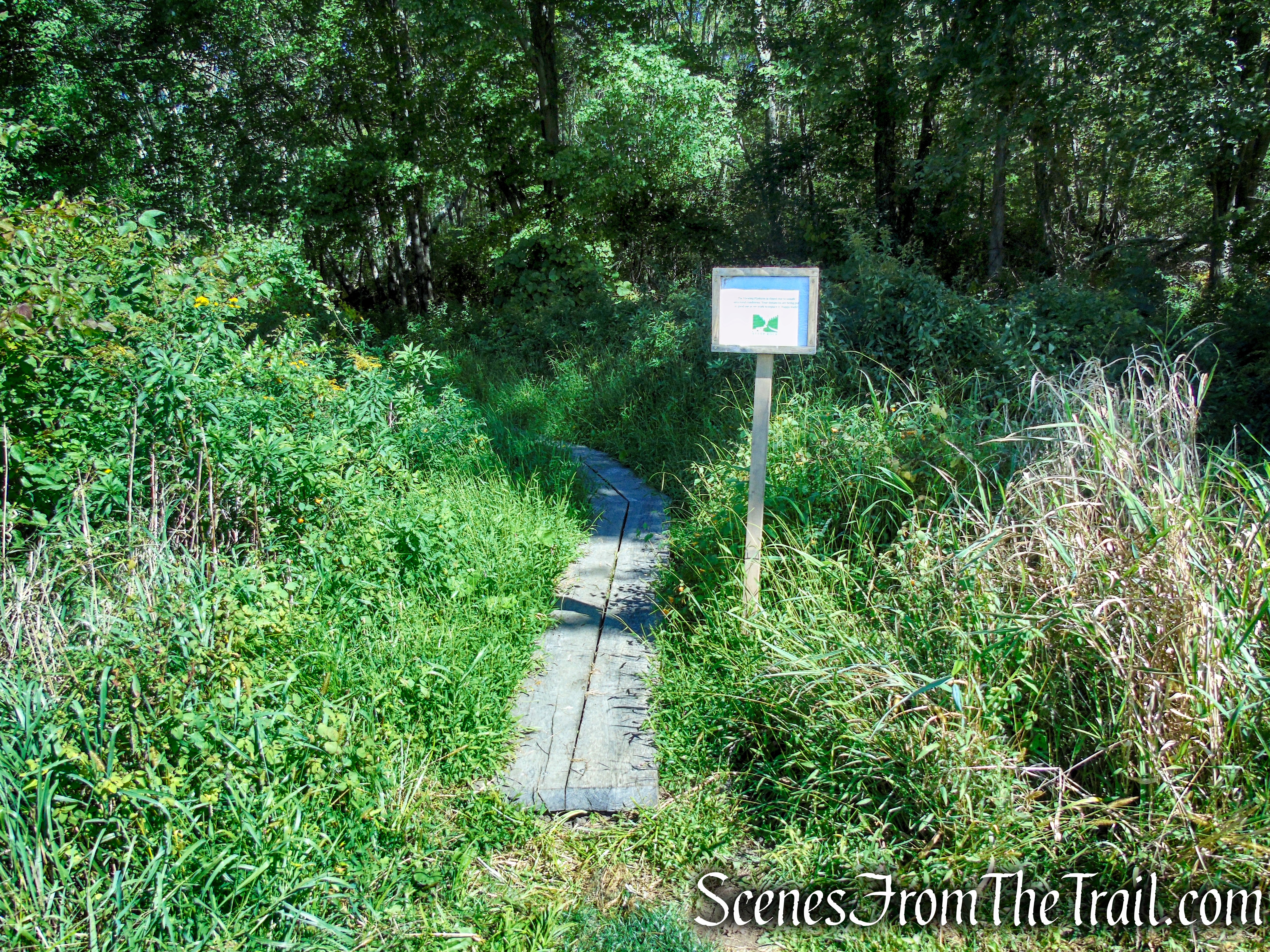 Meeker Swamp - Macricostas Preserve
