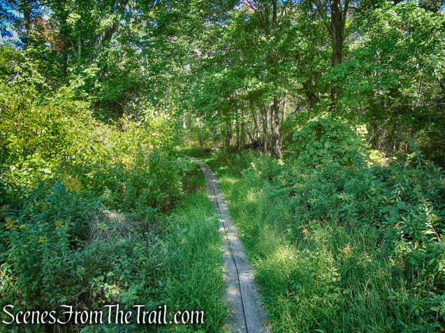 Meeker Swamp - Macricostas Preserve