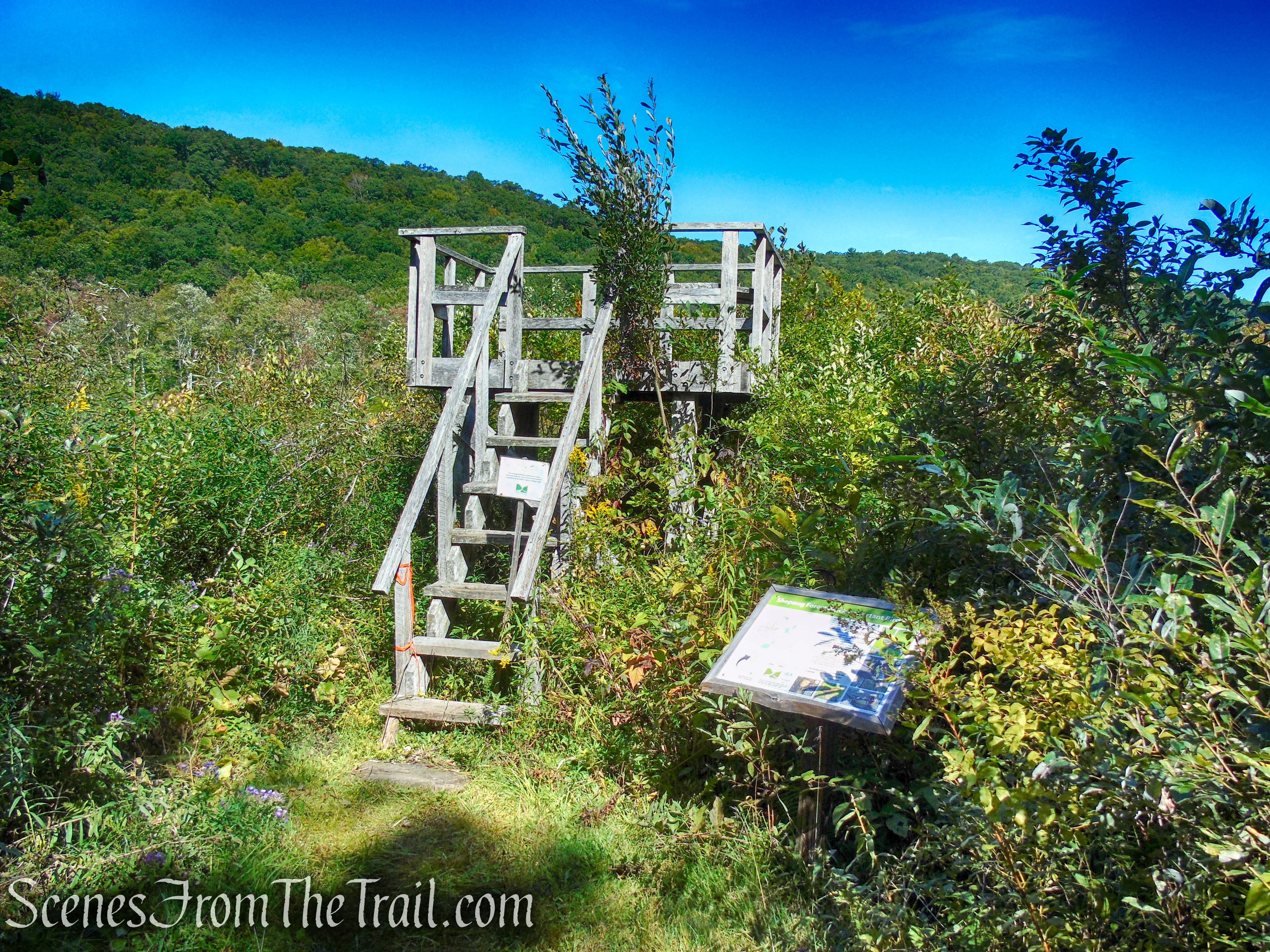 Meeker Swamp - Macricostas Preserve