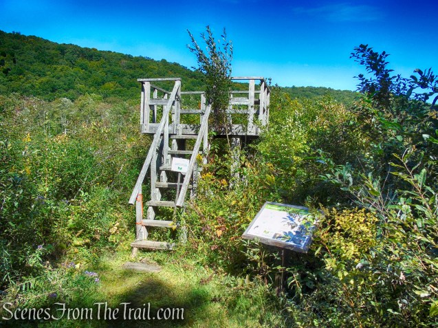 Meeker Swamp - Macricostas Preserve