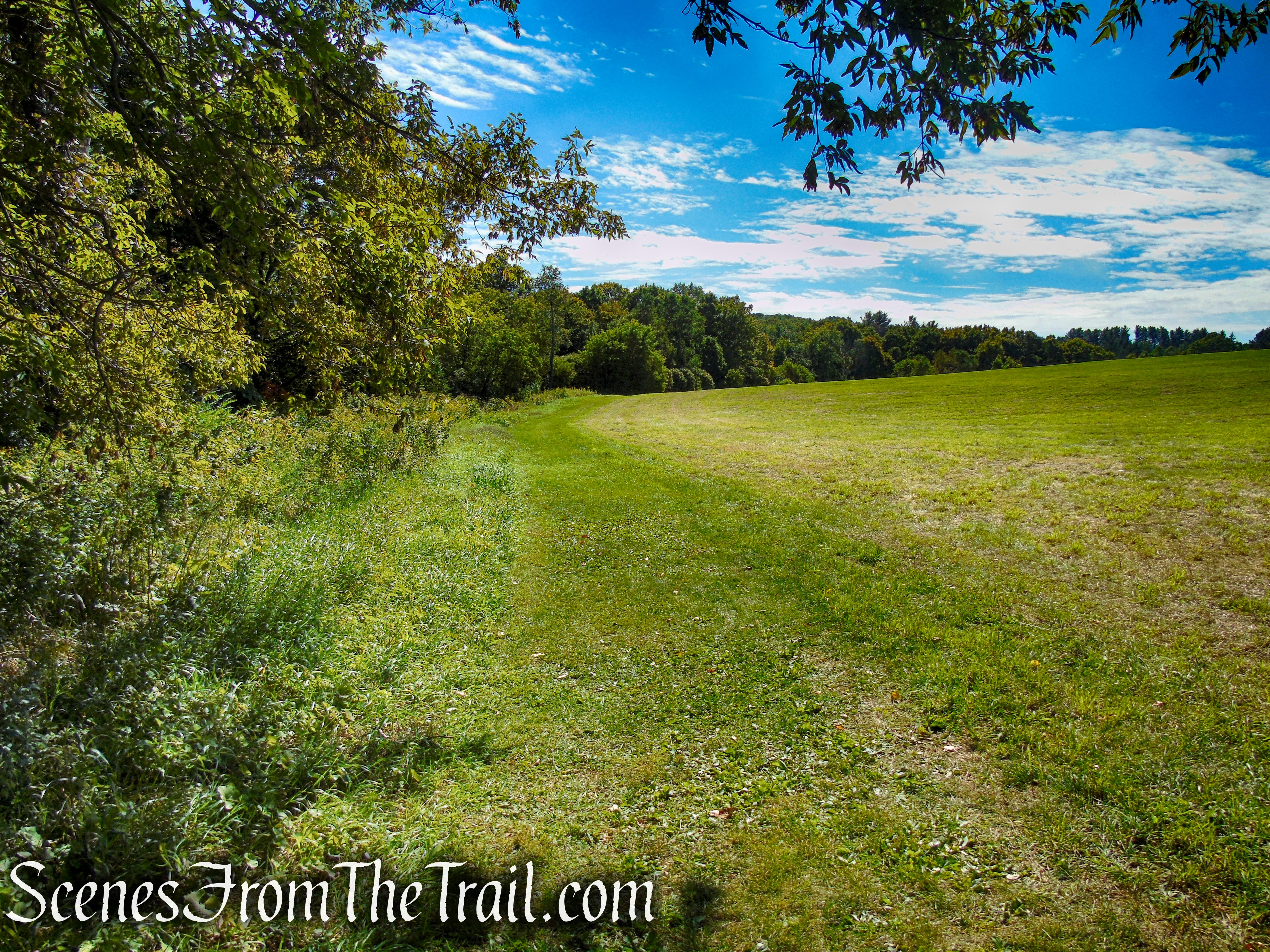 Hay Field Loop - Macricostas Preserve