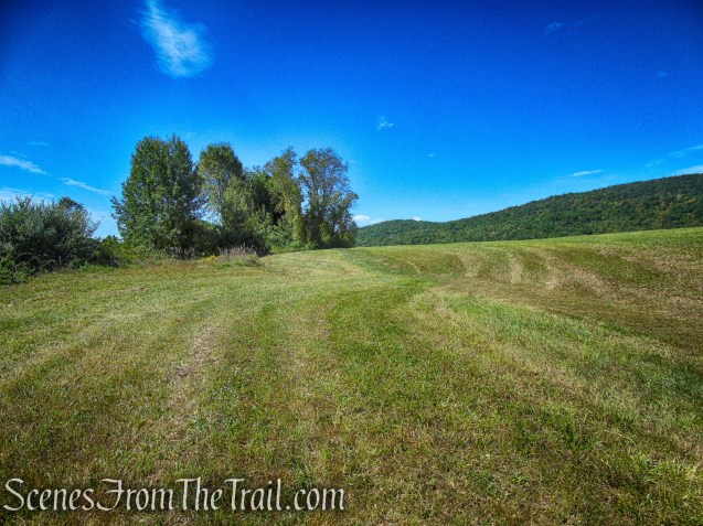 Hay Field Loop - Macricostas Preserve