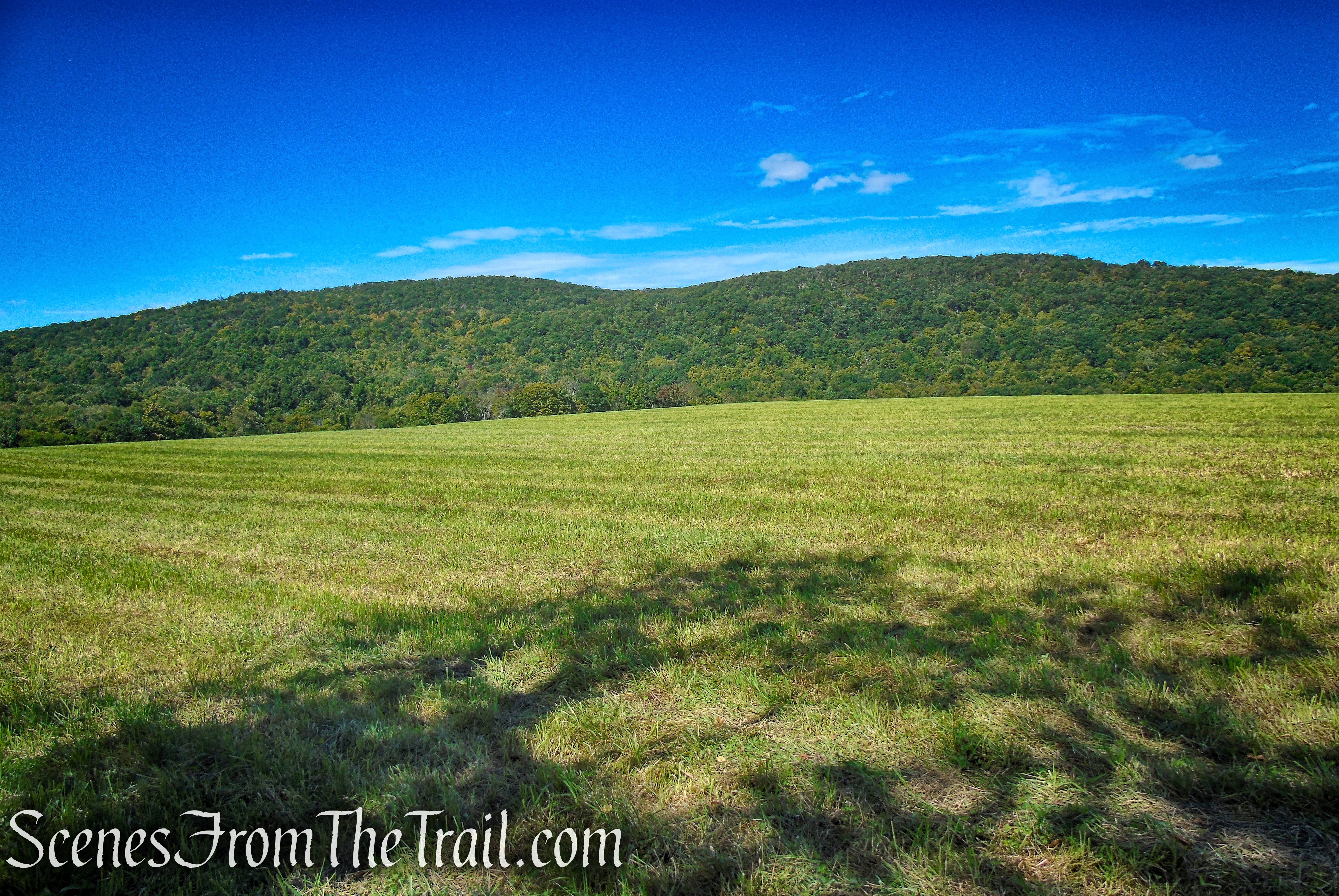 Hay Field Loop - Macricostas Preserve