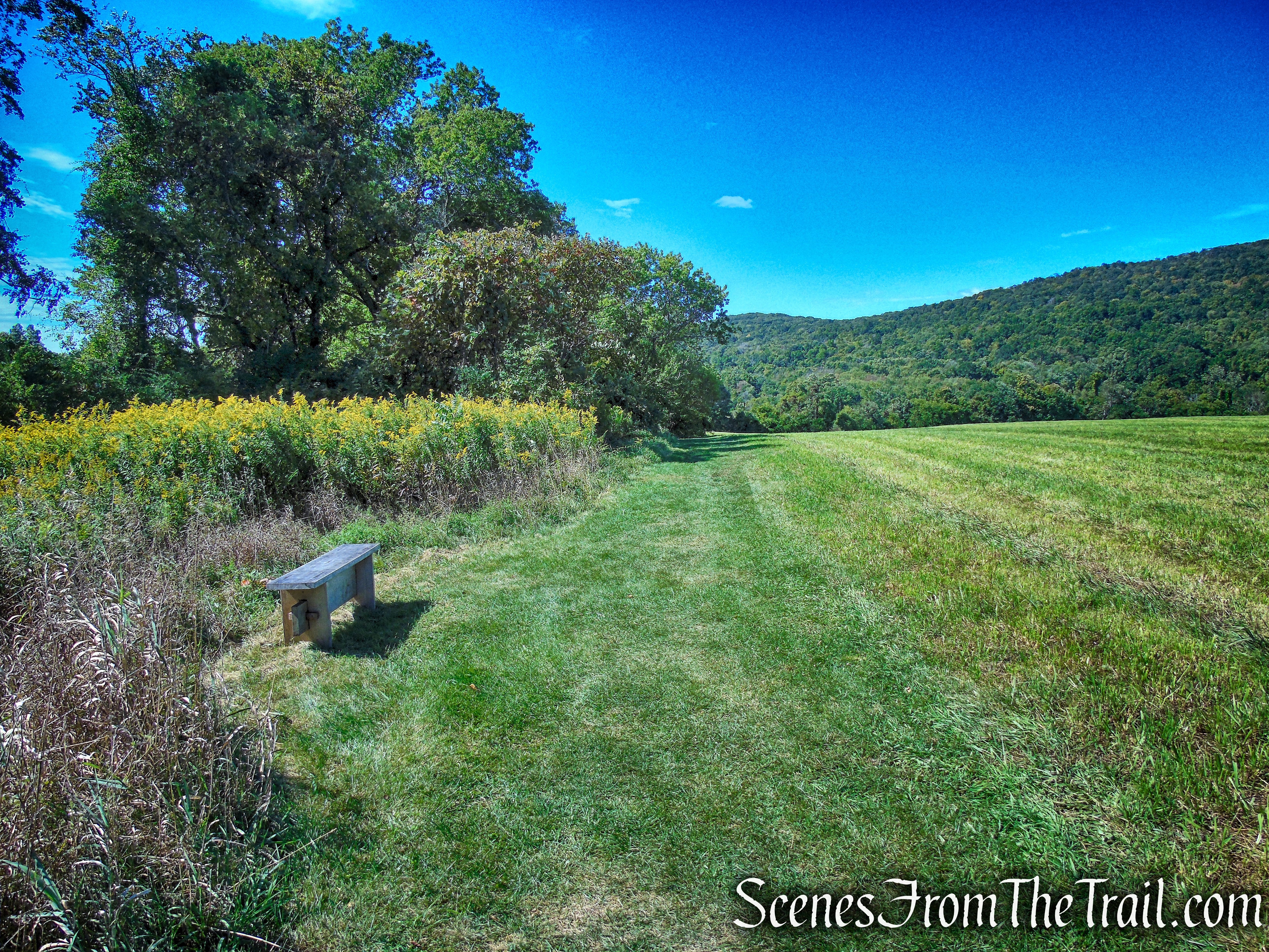 Hay Field Loop - Macricostas Preserve
