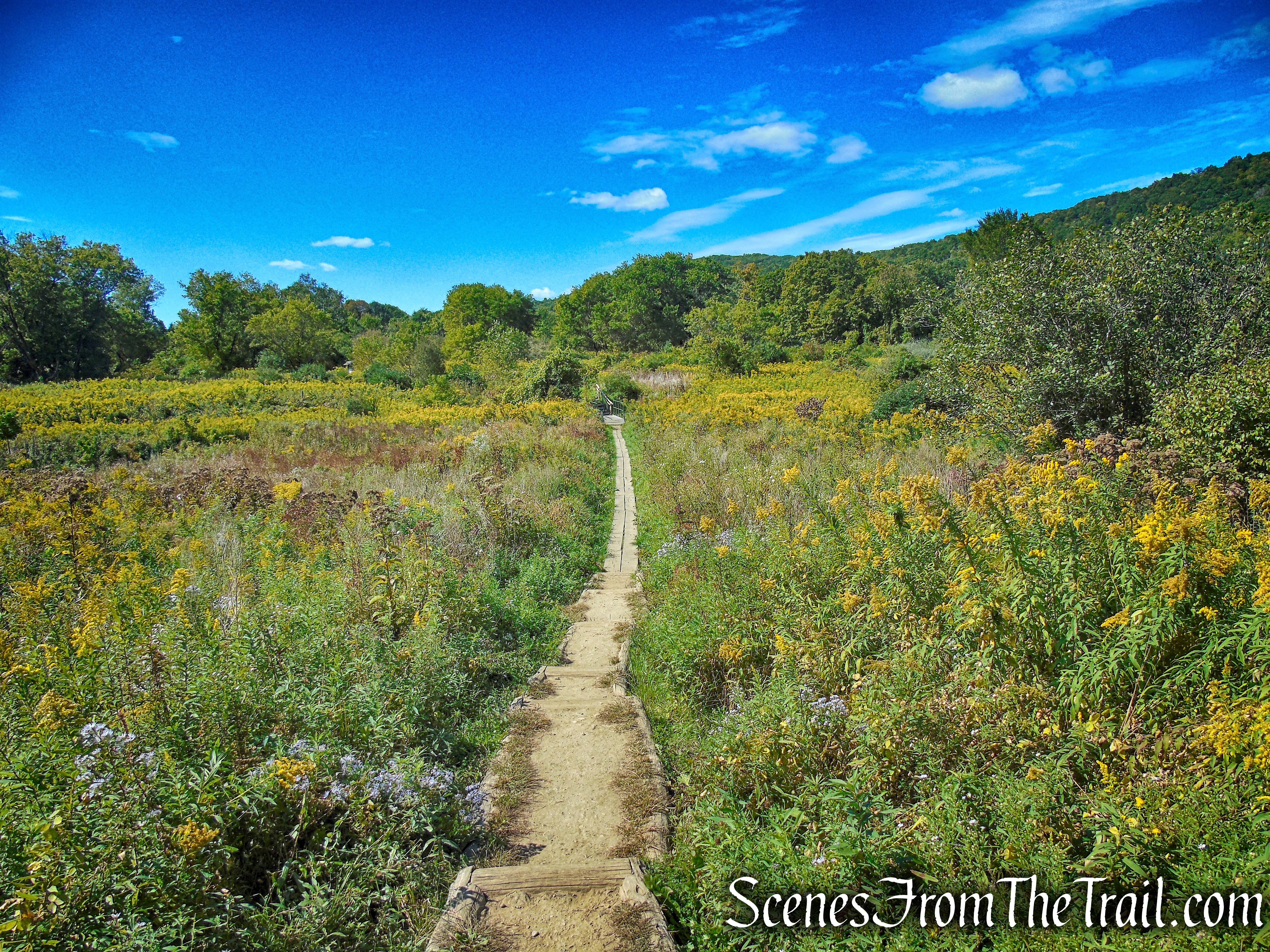 Meeker Trail - Macricostas Preserve