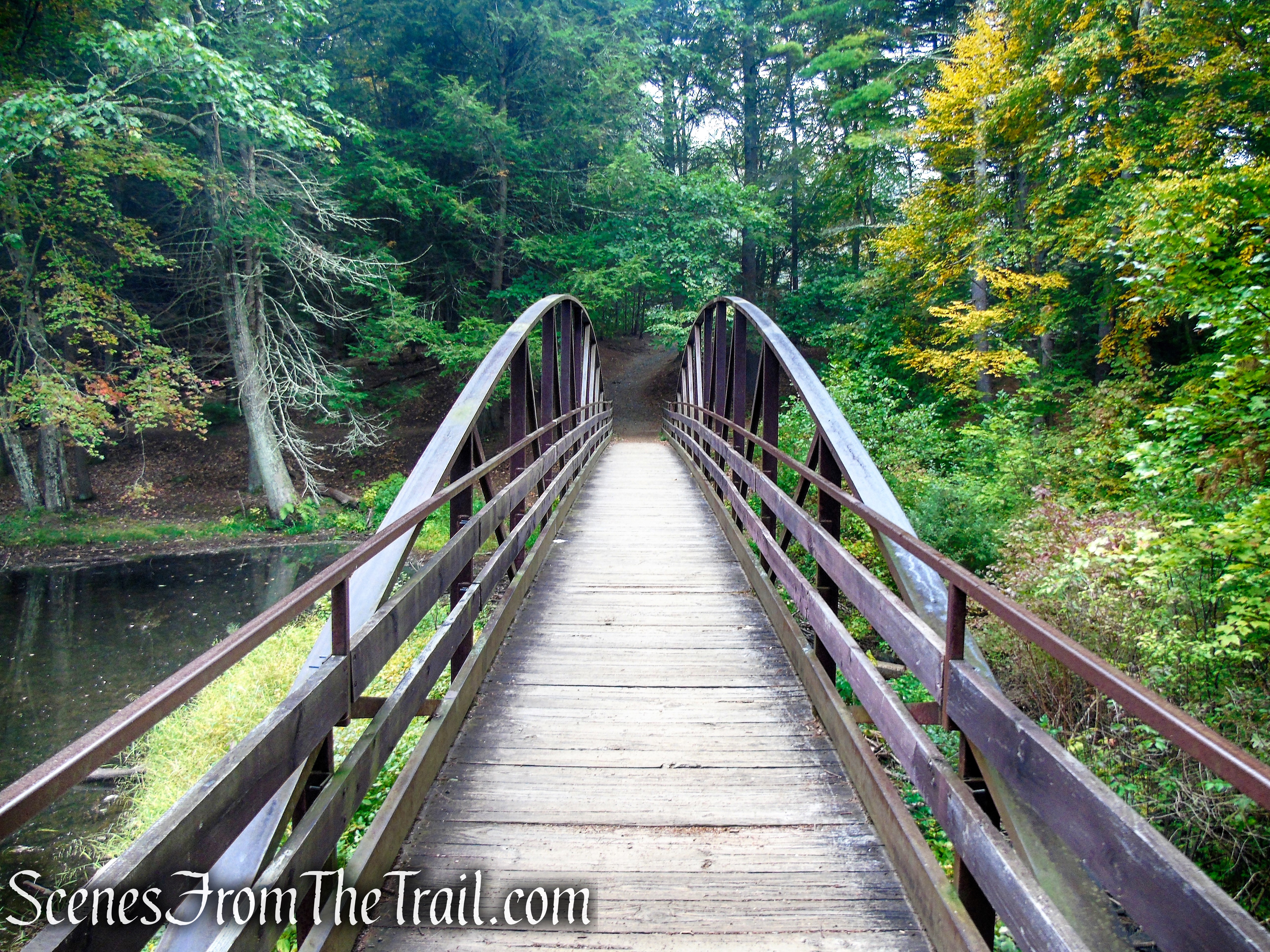 footbridge - Black Rock State Park