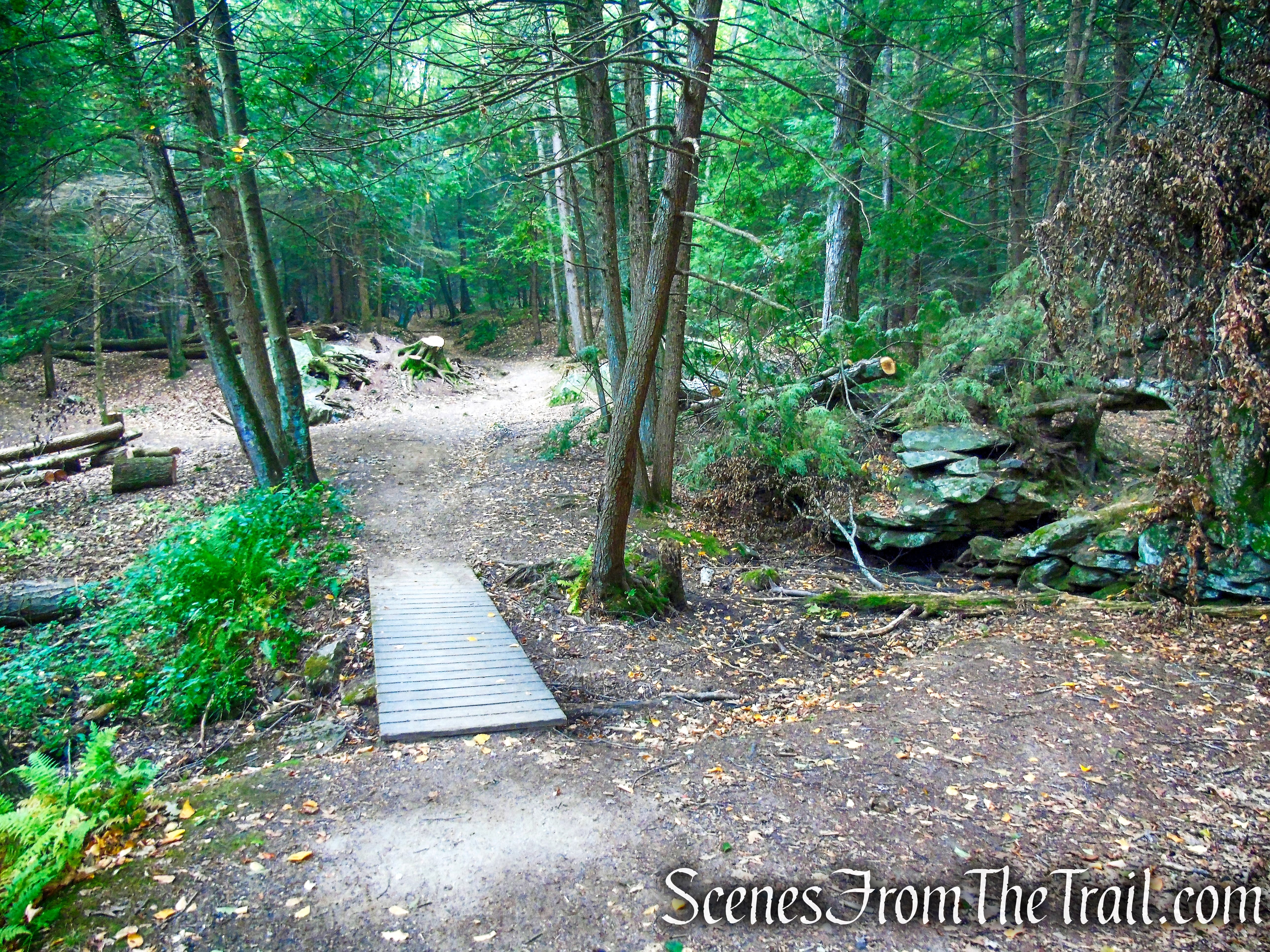 woods road - Black Rock State Park