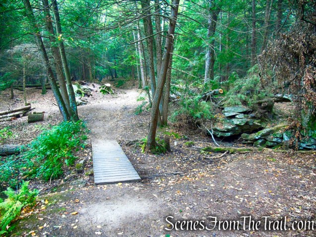 woods road - Black Rock State Park