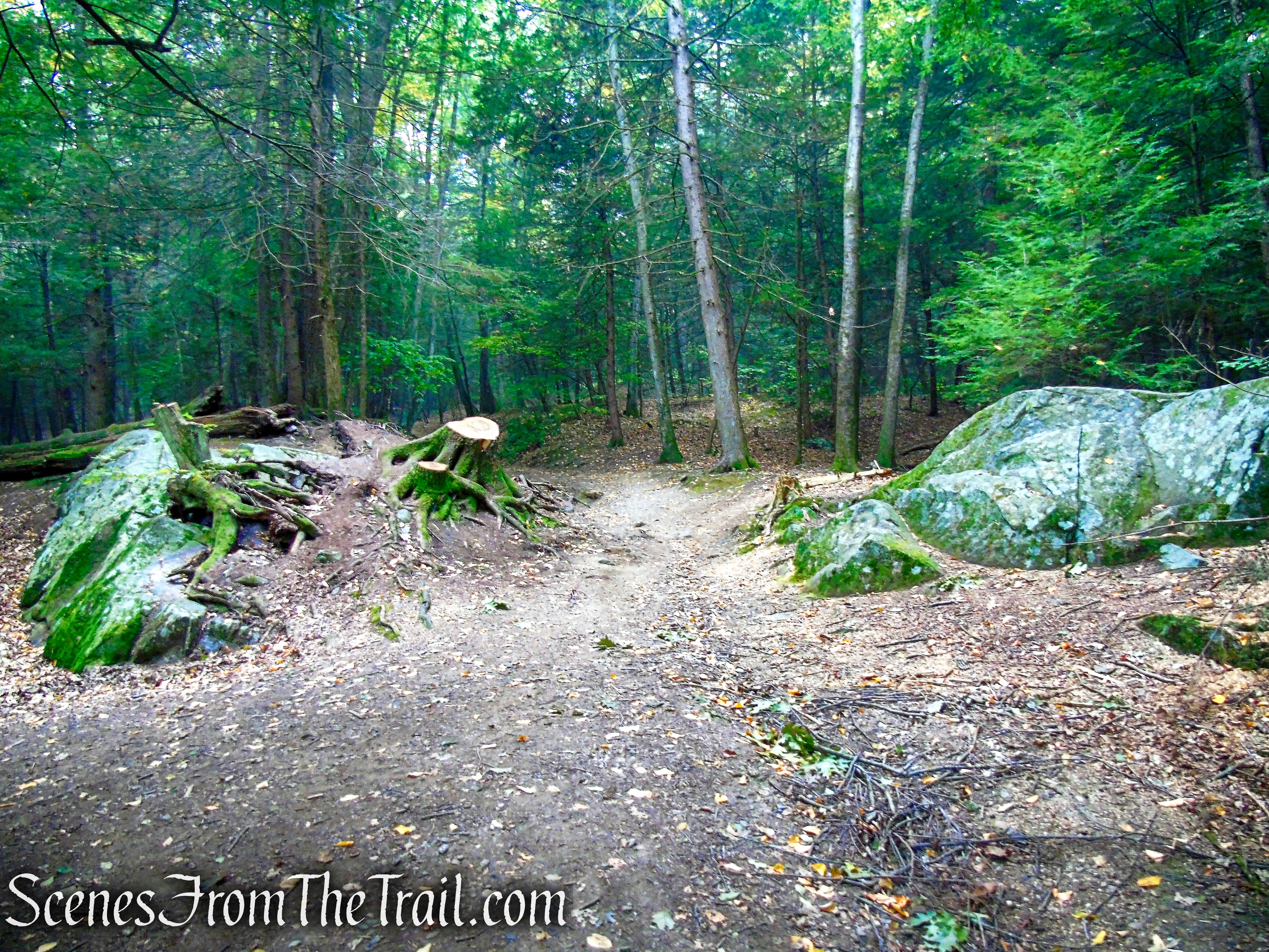 woods road - Black Rock State Park
