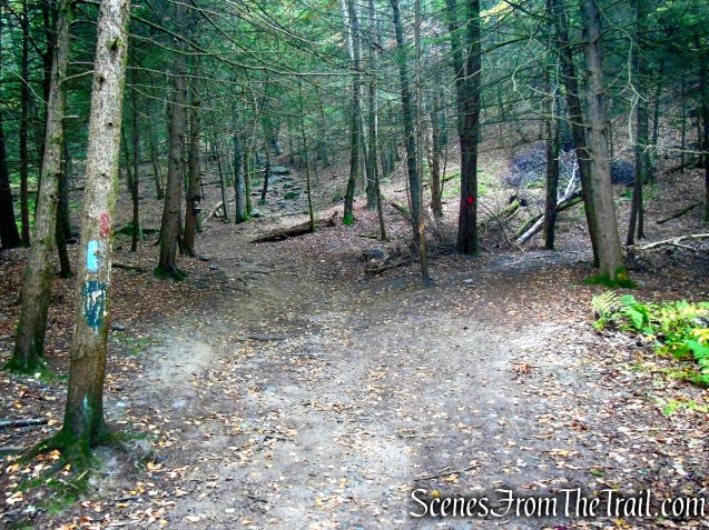 Mattatuck Trail - Black Rock State Park