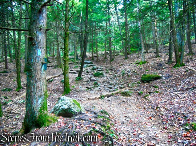 Mattatuck Trail - Black Rock State Park