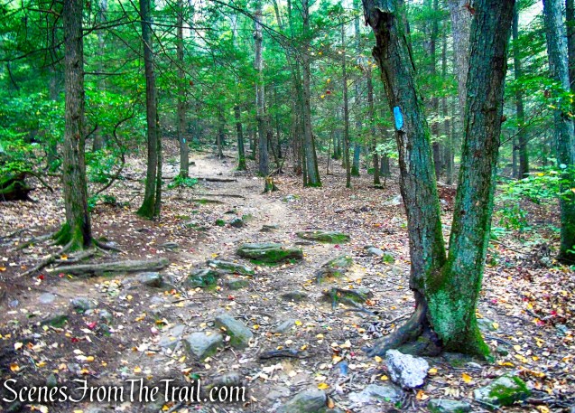 Mattatuck Trail - Black Rock State Park