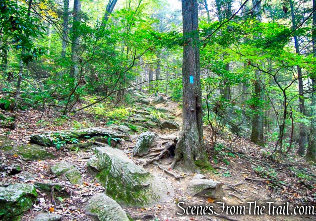 Mattatuck Trail - Black Rock State Park