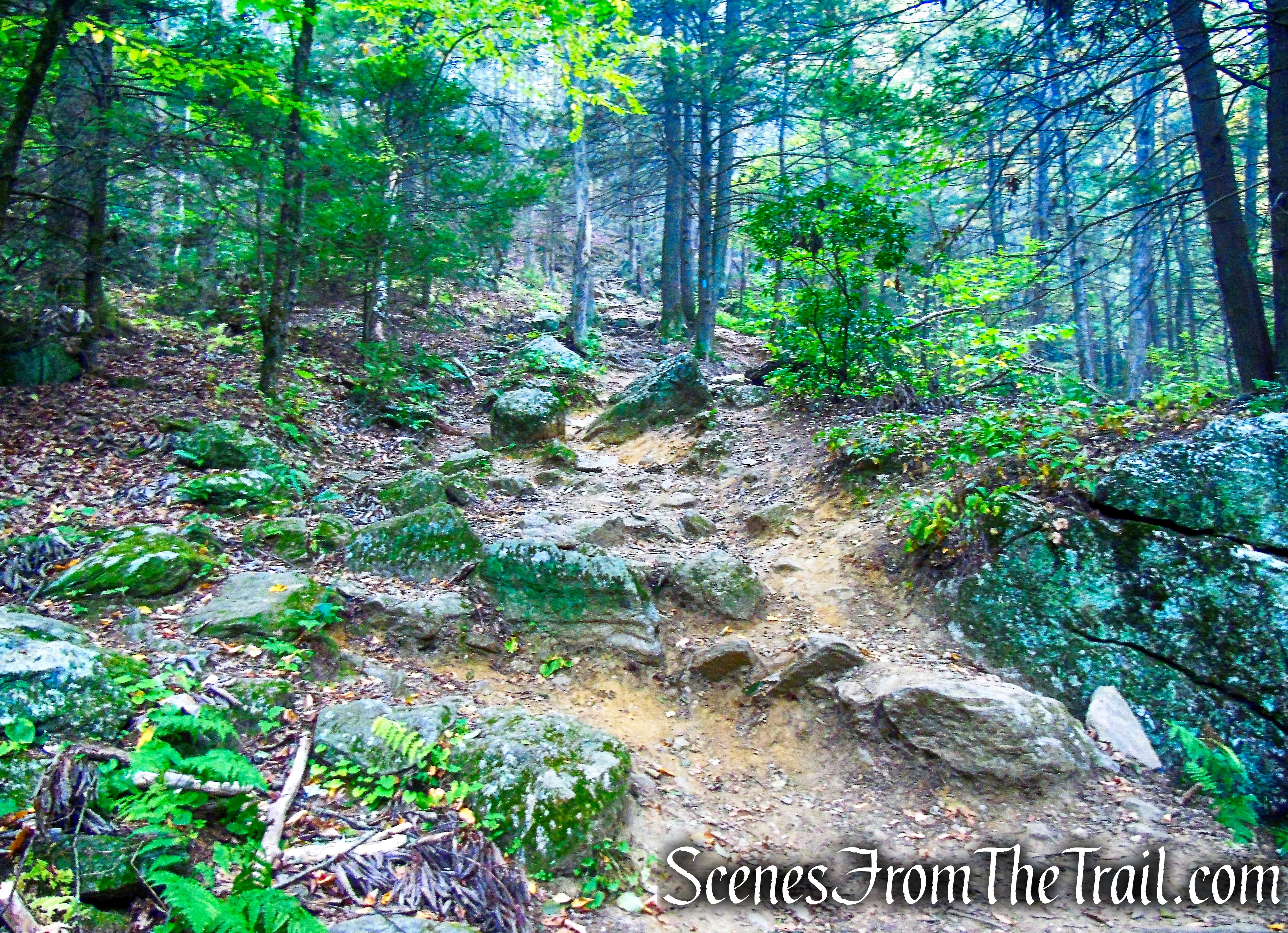 Mattatuck Trail - Black Rock State Park