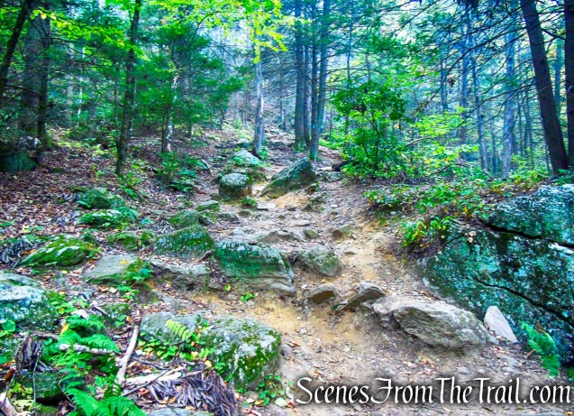 Mattatuck Trail - Black Rock State Park