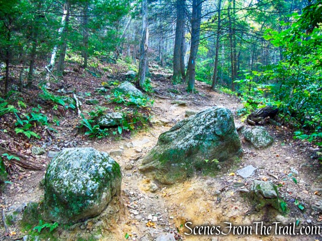 Mattatuck Trail - Black Rock State Park
