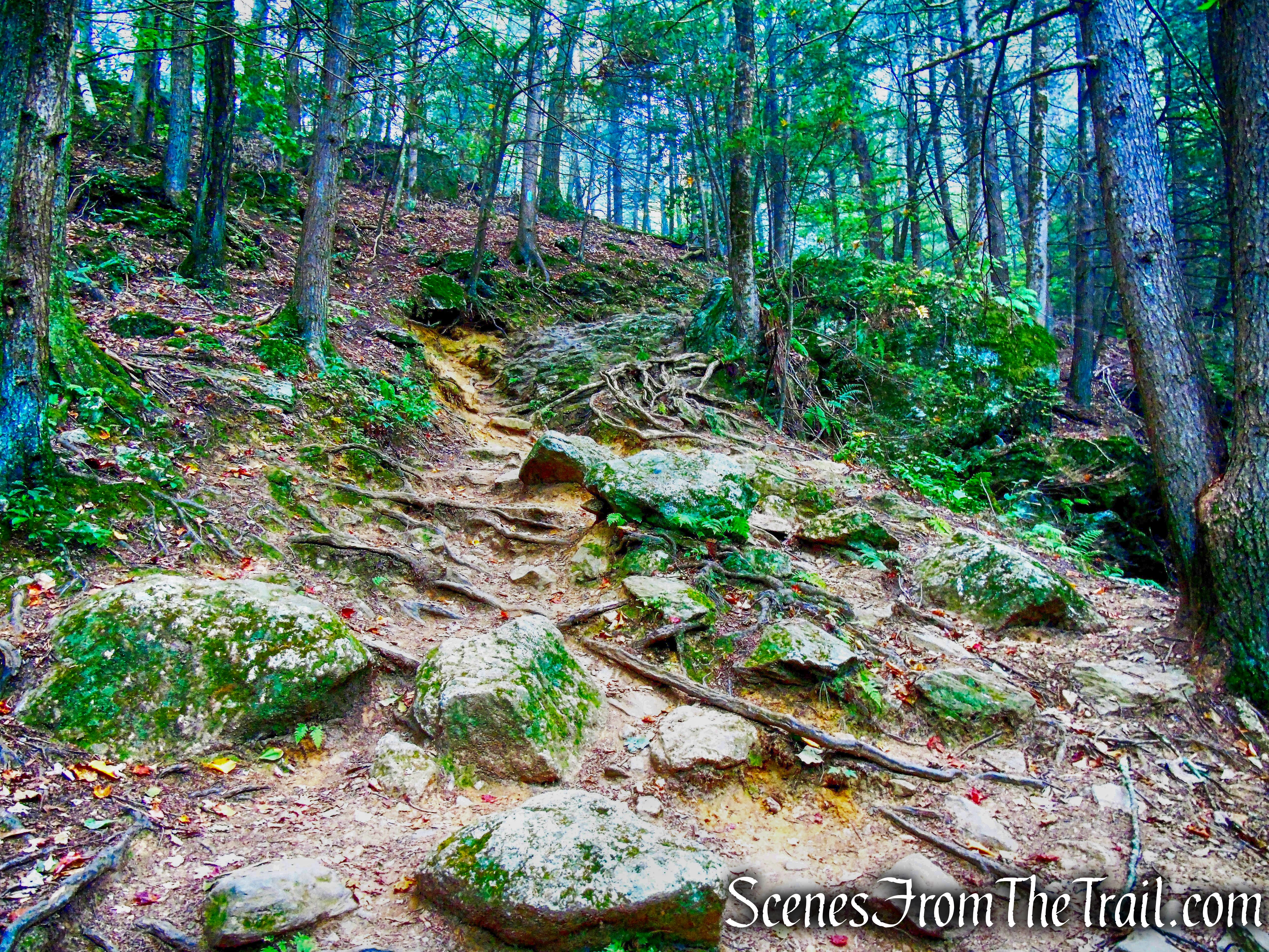 Mattatuck Trail - Black Rock State Park