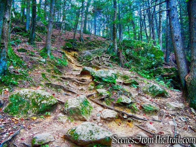 Mattatuck Trail - Black Rock State Park