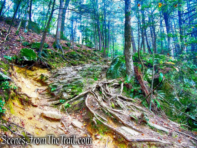 Mattatuck Trail - Black Rock State Park