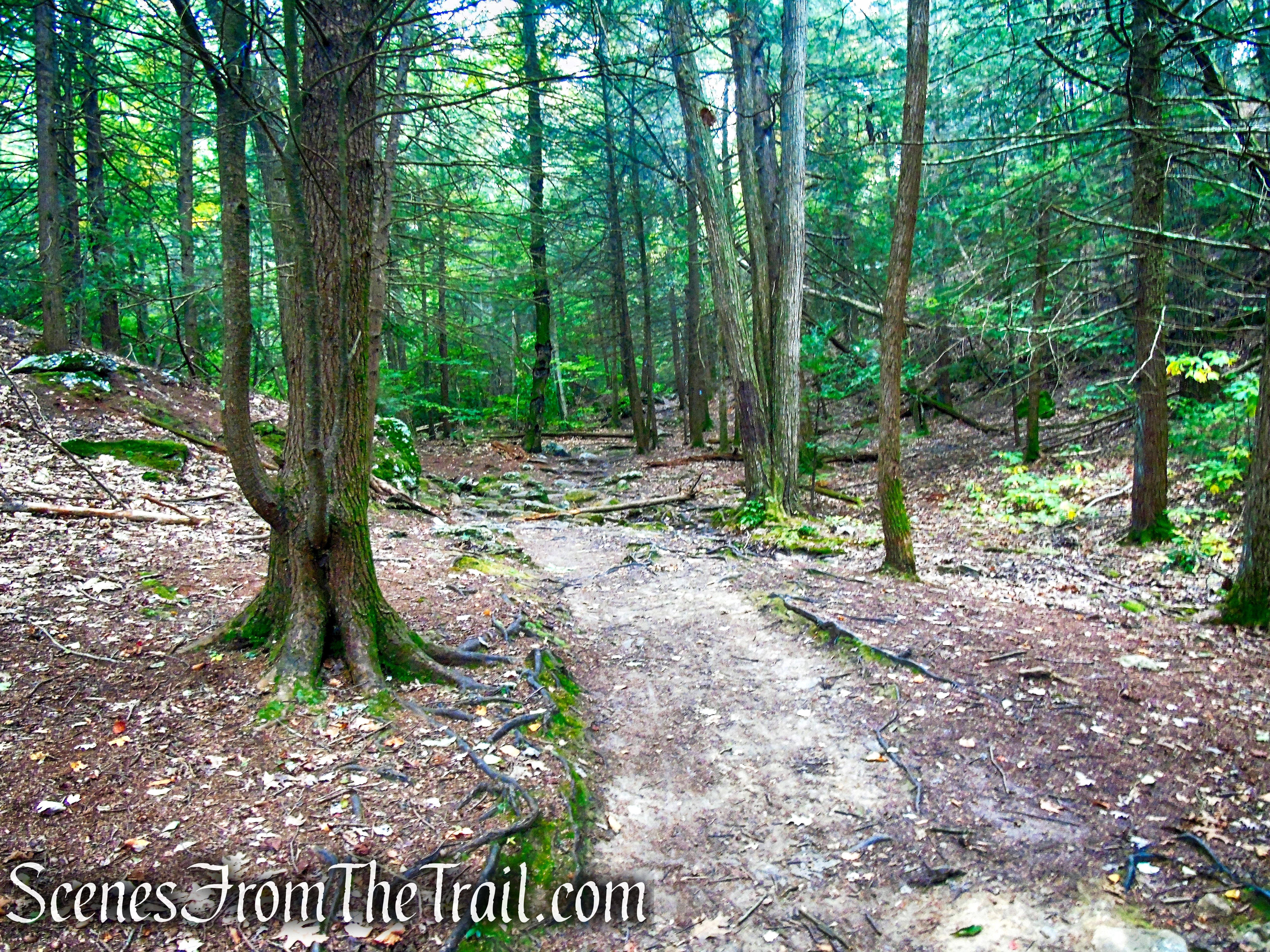 Mattatuck Trail - Black Rock State Park