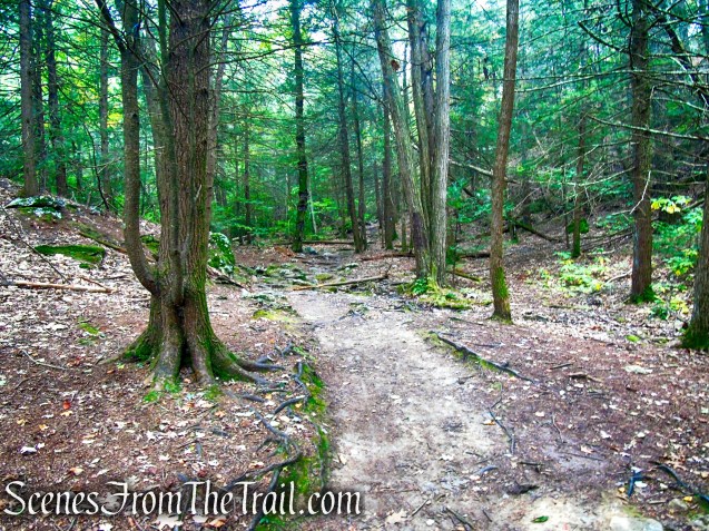 Mattatuck Trail - Black Rock State Park