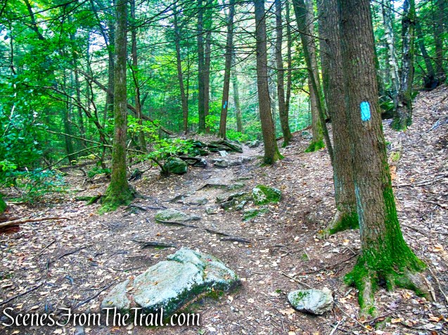 Mattatuck Trail - Black Rock State Park