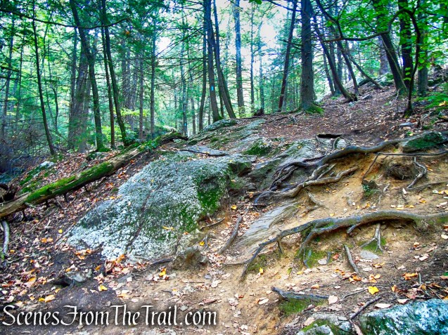 Mattatuck Trail - Black Rock State Park