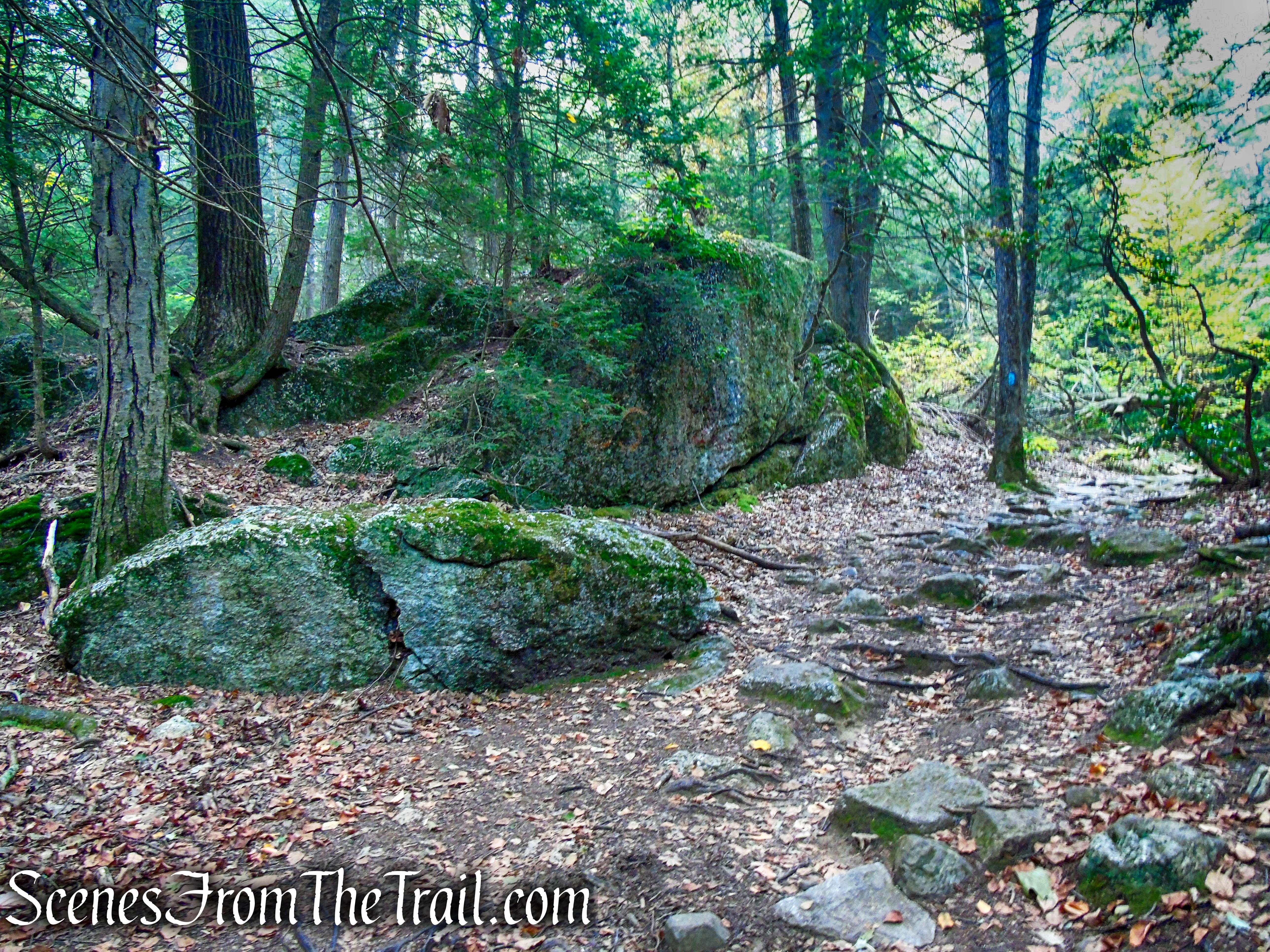 Mattatuck Trail - Black Rock State Park
