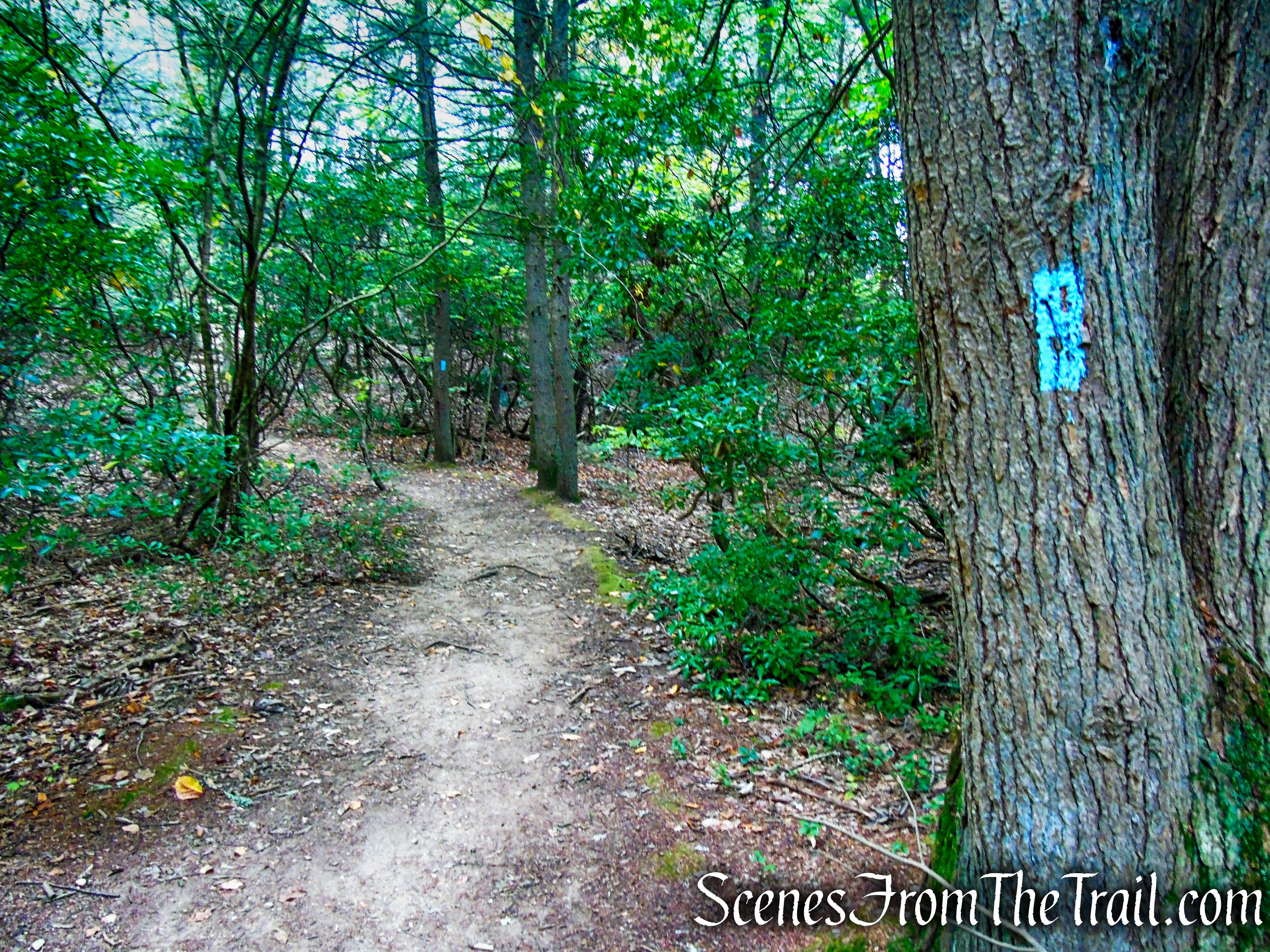 Mattatuck Trail - Black Rock State Park